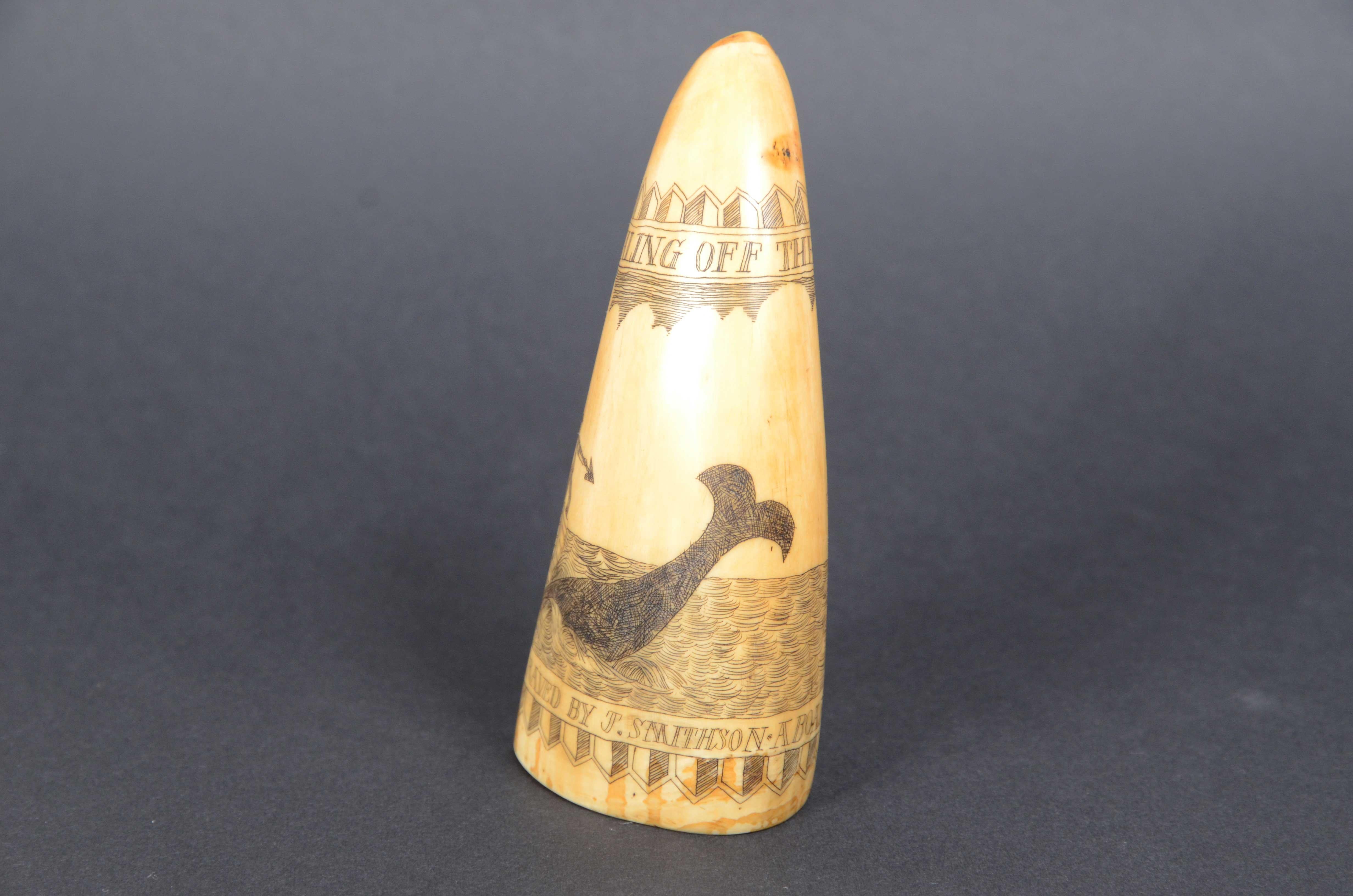 Late 19th Century Scrimshaw of vertically engraved whale tooth valuable workmanship dated 1882 For Sale