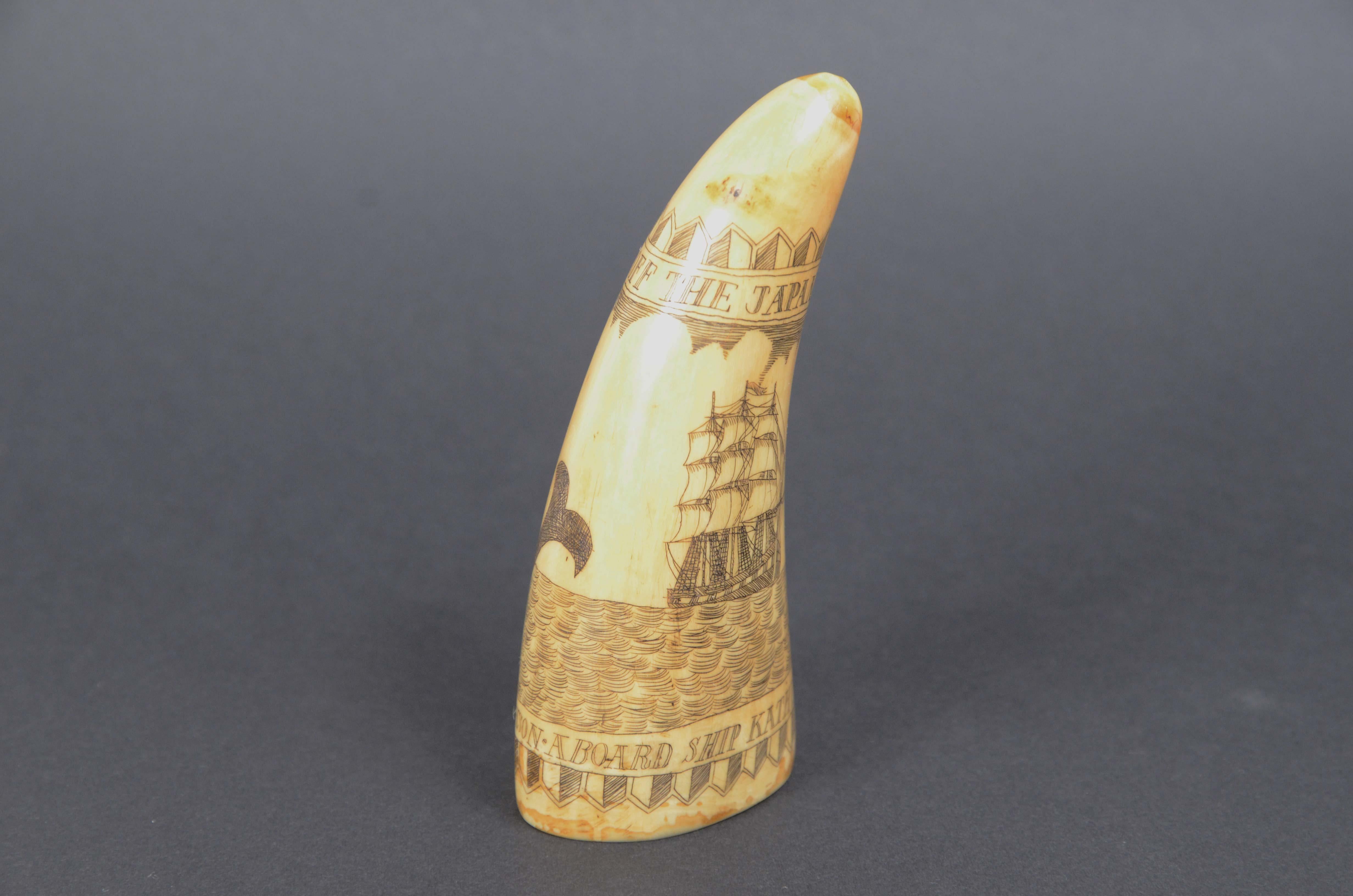 Bone Scrimshaw of vertically engraved whale tooth valuable workmanship dated 1882 For Sale