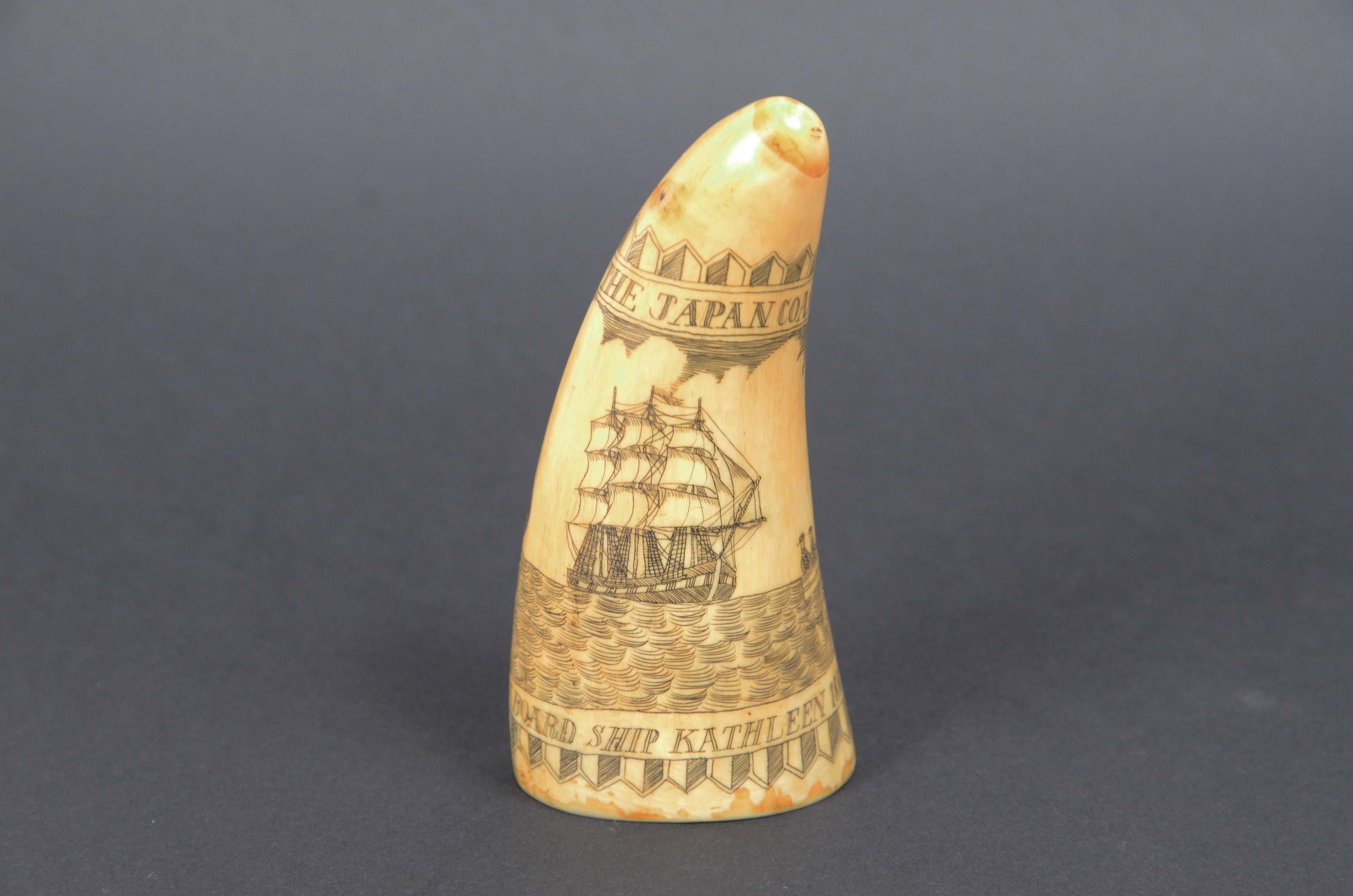 Scrimshaw of vertically engraved whale tooth valuable workmanship dated 1882 For Sale 1