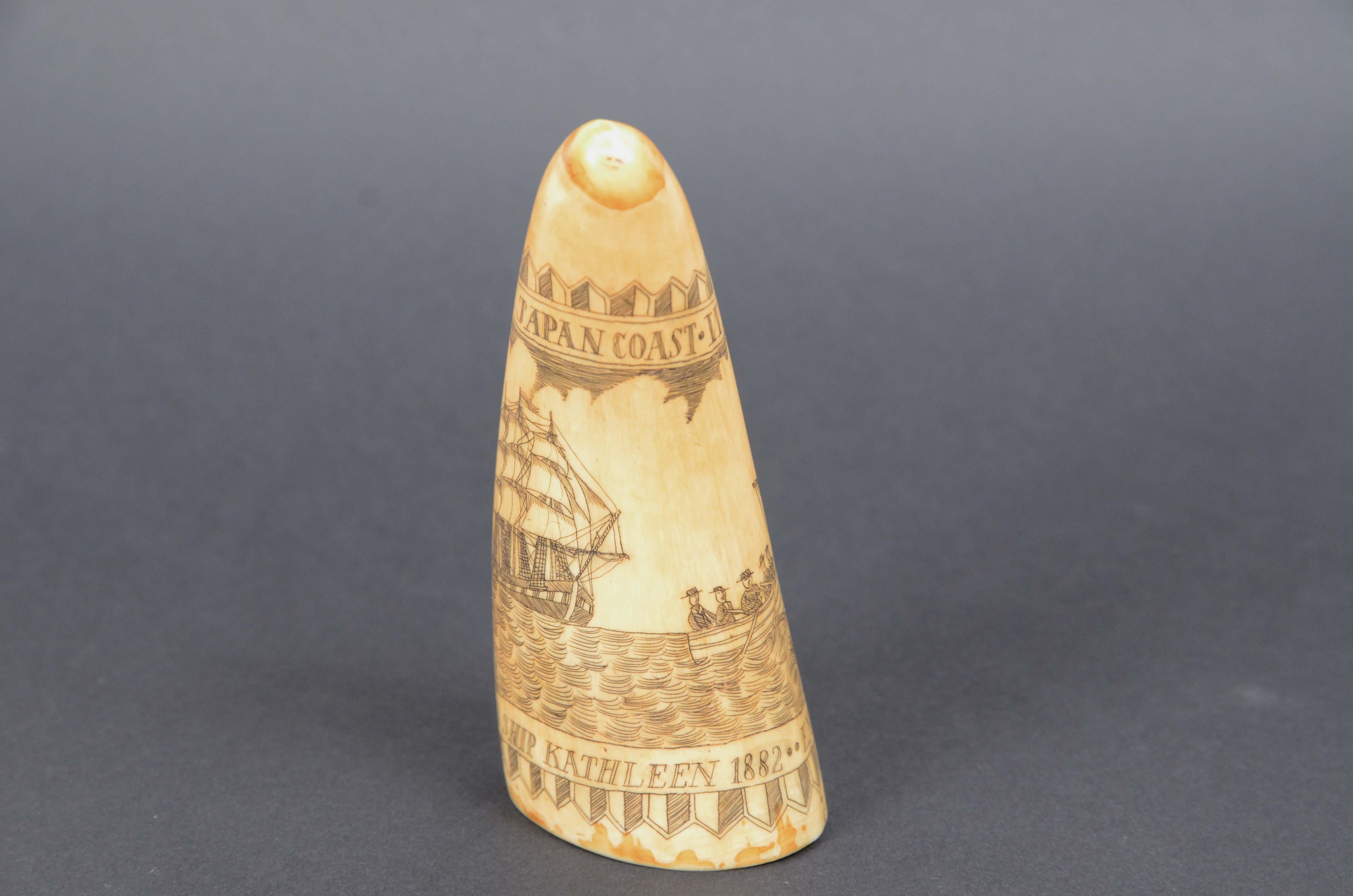 Scrimshaw of vertically engraved whale tooth valuable workmanship dated 1882 For Sale 2