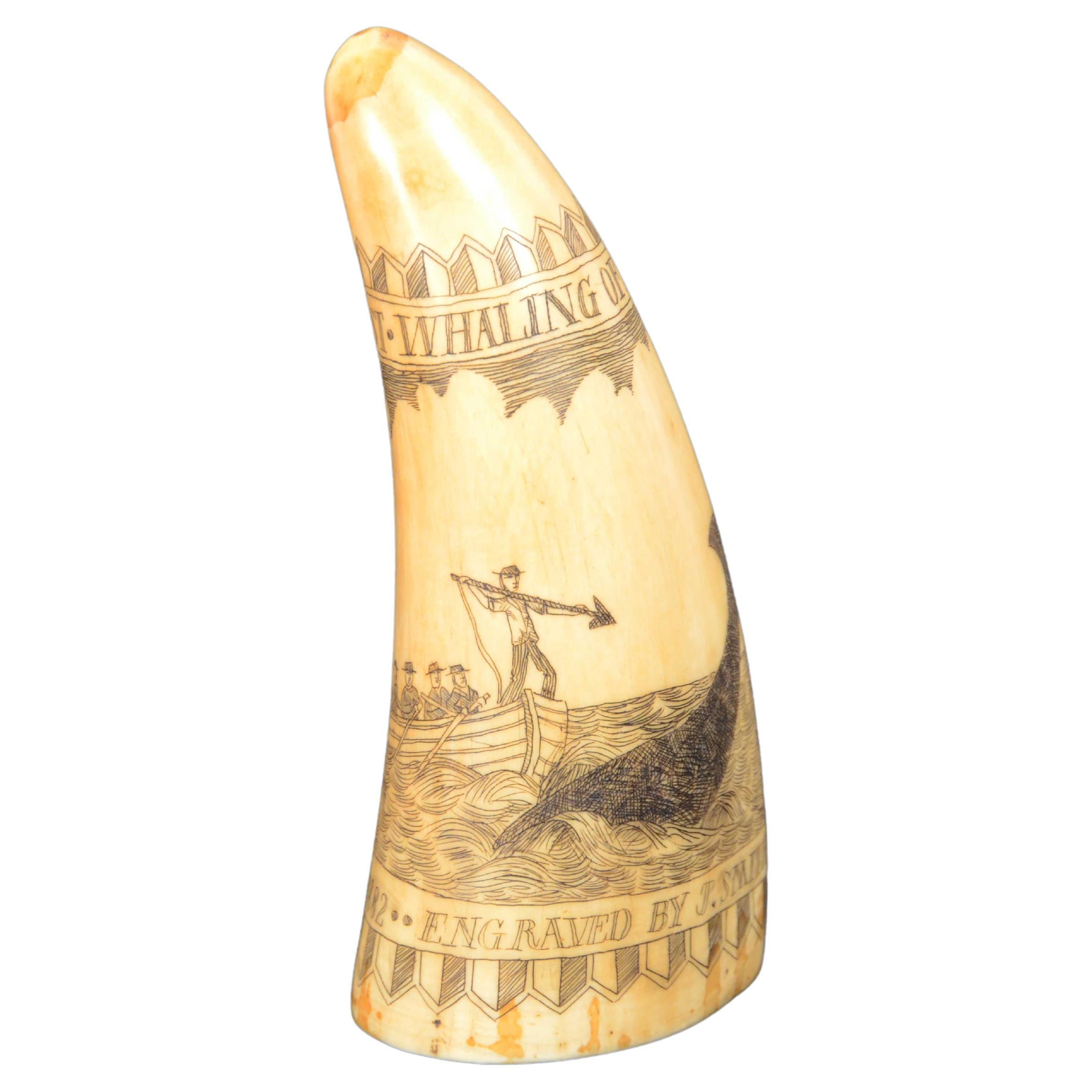 Scrimshaw of vertically engraved whale tooth valuable workmanship dated 1882 For Sale