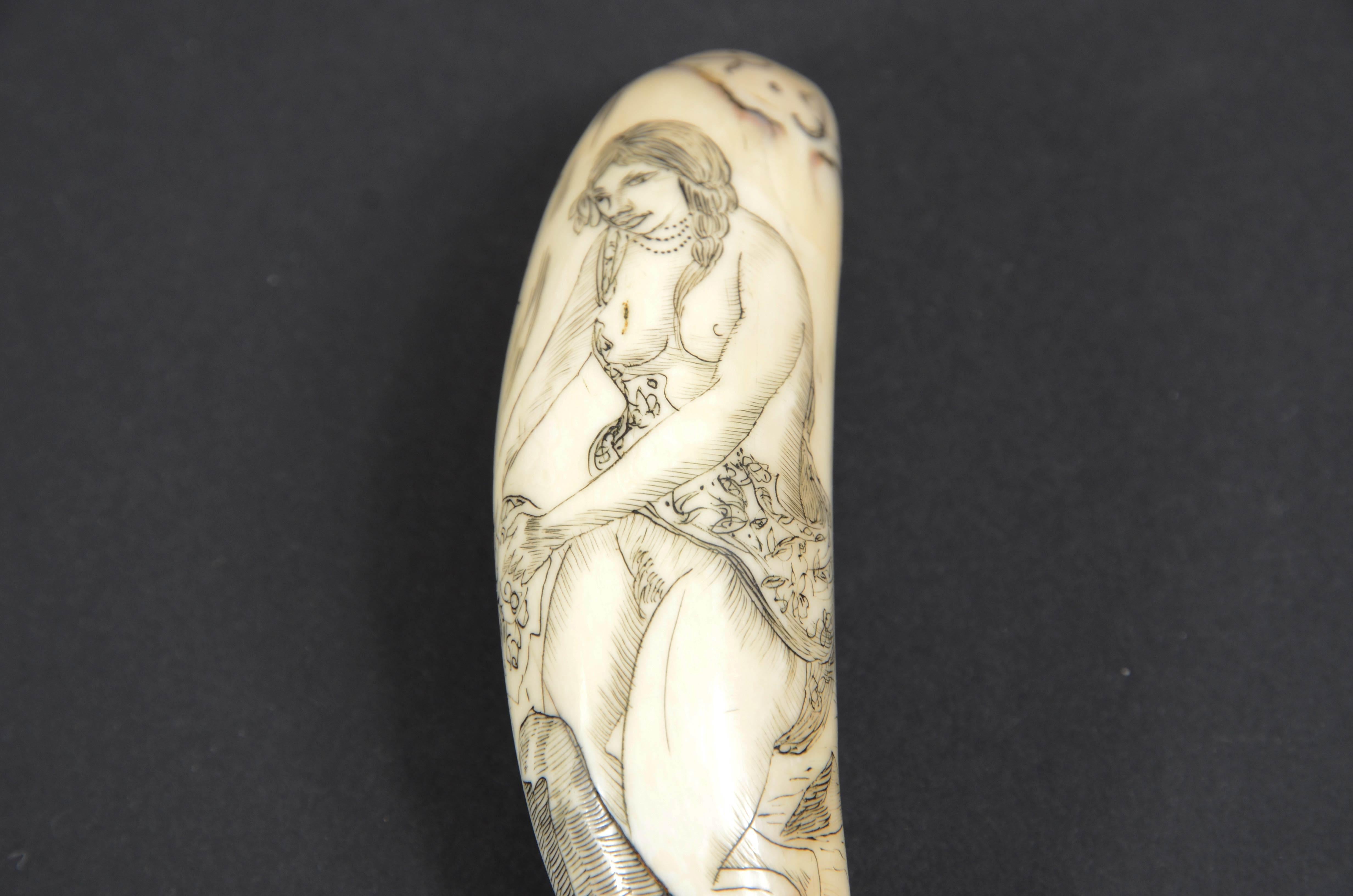 Scrimshaw of an engraved orca tooth depicting native of the Mariana Islands semi-nude, above the head the initials R.F. On the back bow vessel, tropical beach with palm trees and rocks and the inscription: on the MARIANA Is. The Lovely native girls