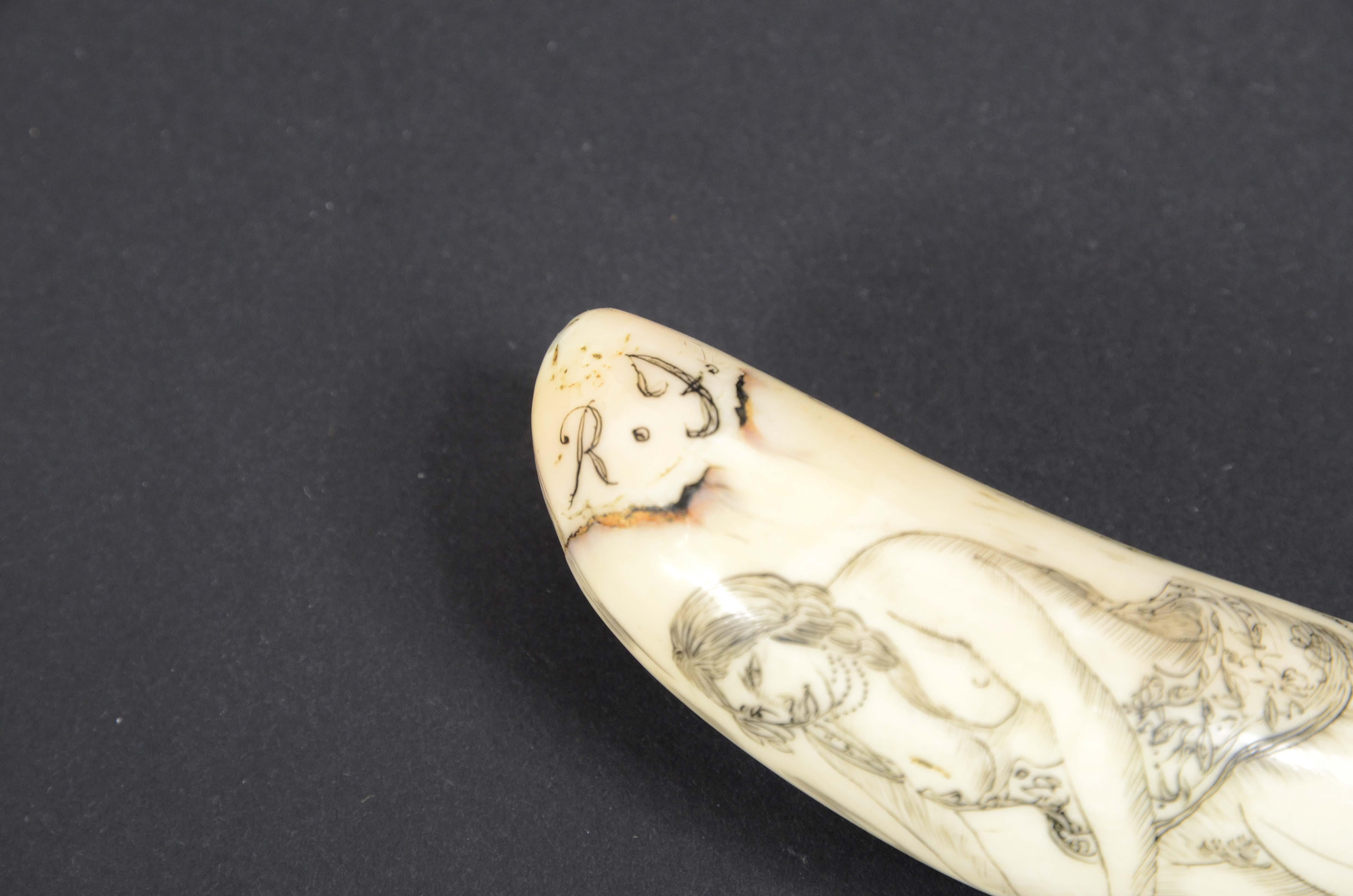 Scrimshaw of engraved orca tooth native to the Mariana Islands semi-nude 1850s In Good Condition For Sale In Milan, IT