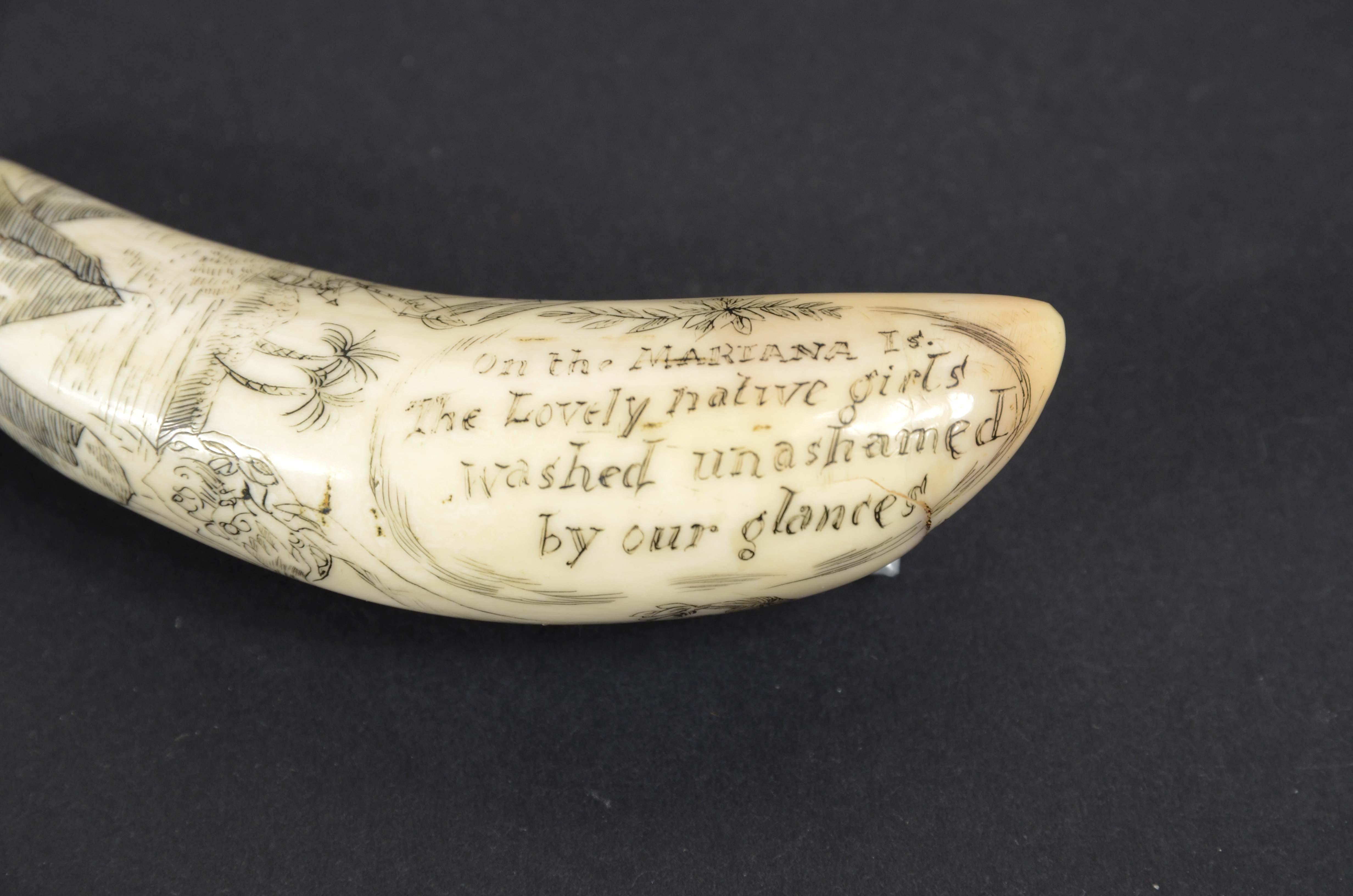 Scrimshaw eines gravierten Orcazahns von den Marianen halbnackt aus dem Jahr 1850 im Angebot 1