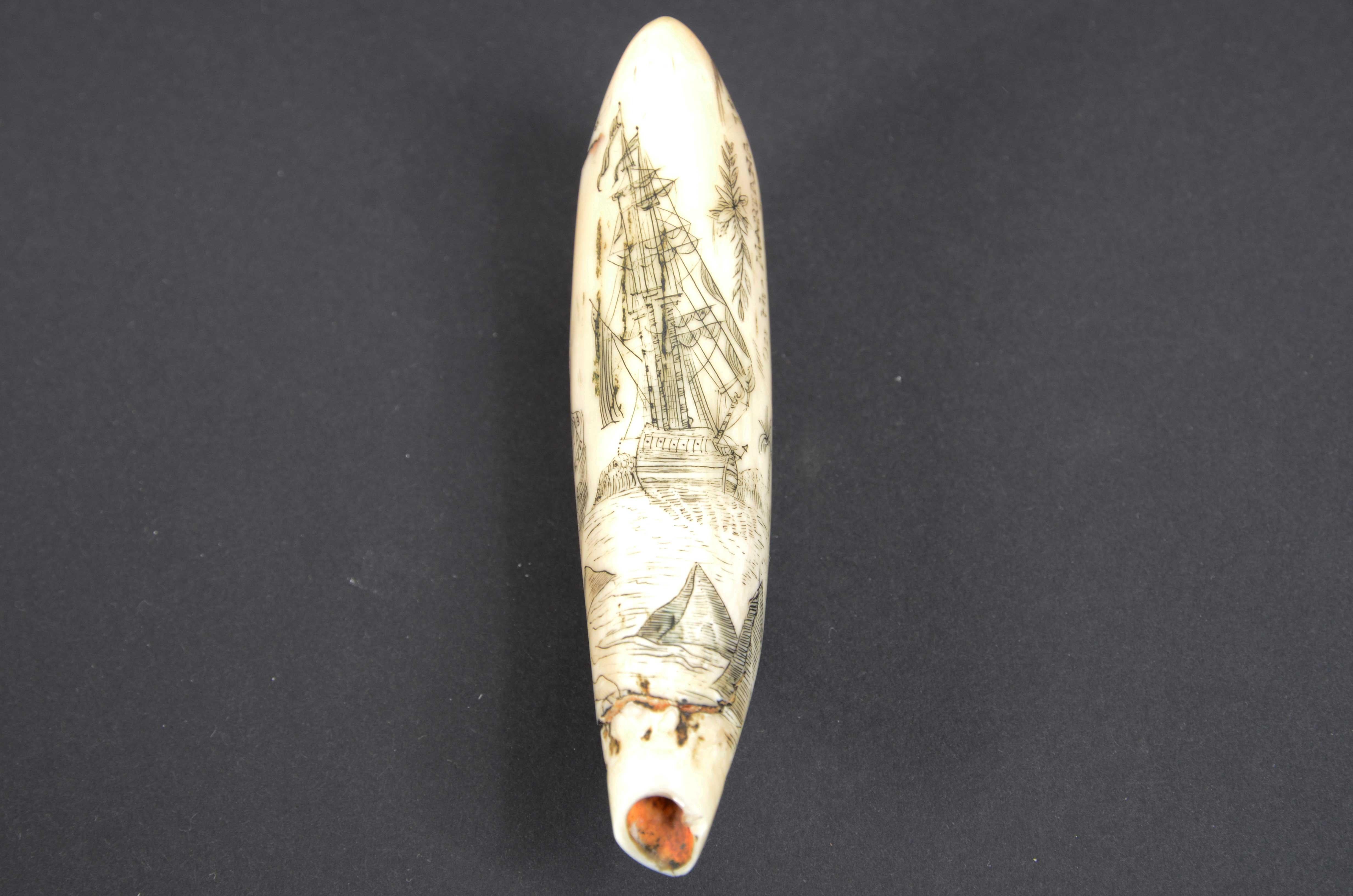 Scrimshaw eines gravierten Orcazahns von den Marianen halbnackt aus dem Jahr 1850 im Angebot 2