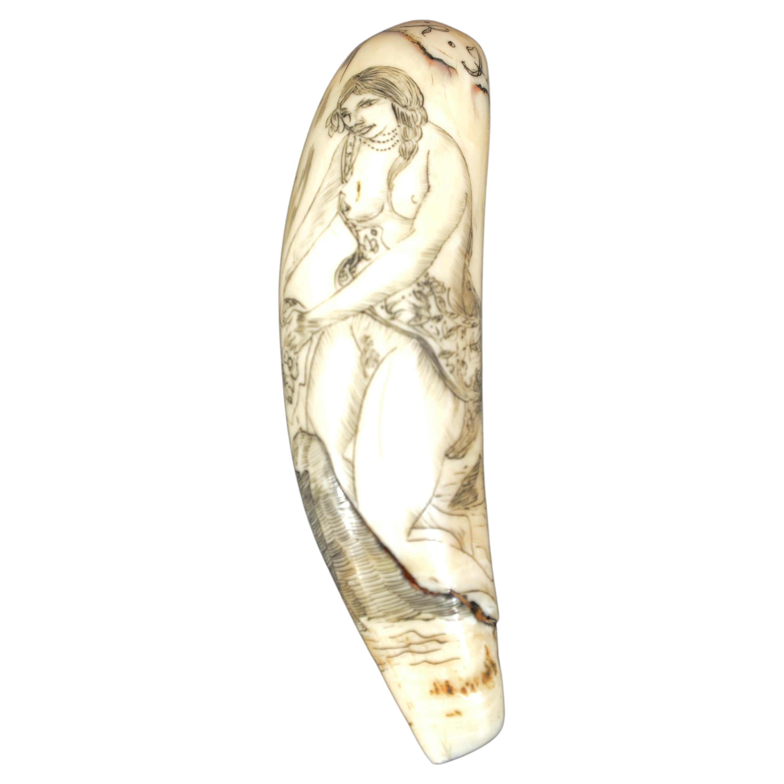 Scrimshaw of engraved orca tooth native to the Mariana Islands semi-nude 1850s For Sale