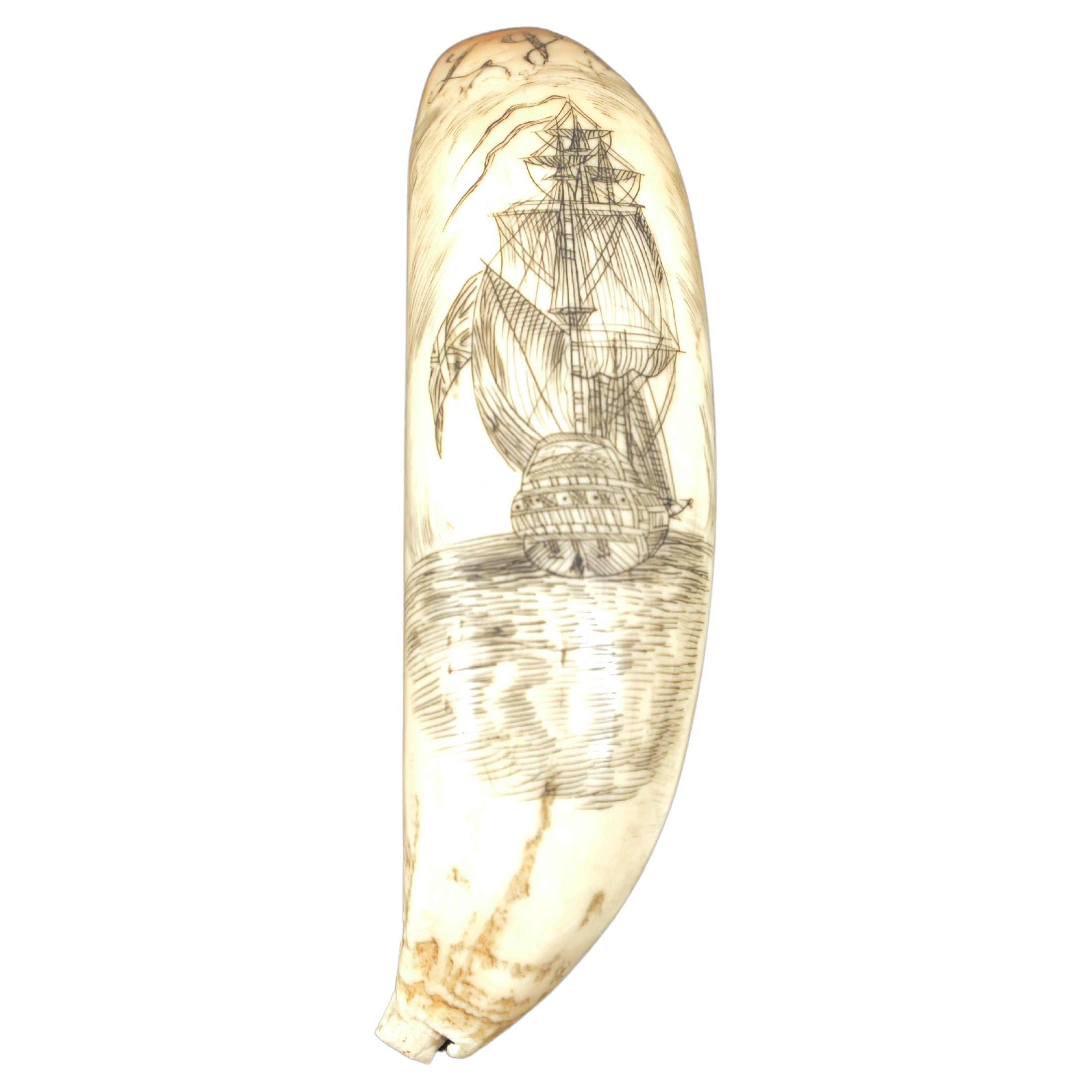 Scrimshaw à dent d'orque gravé verticalement représentant un navire milieu du 19e siècle en vente