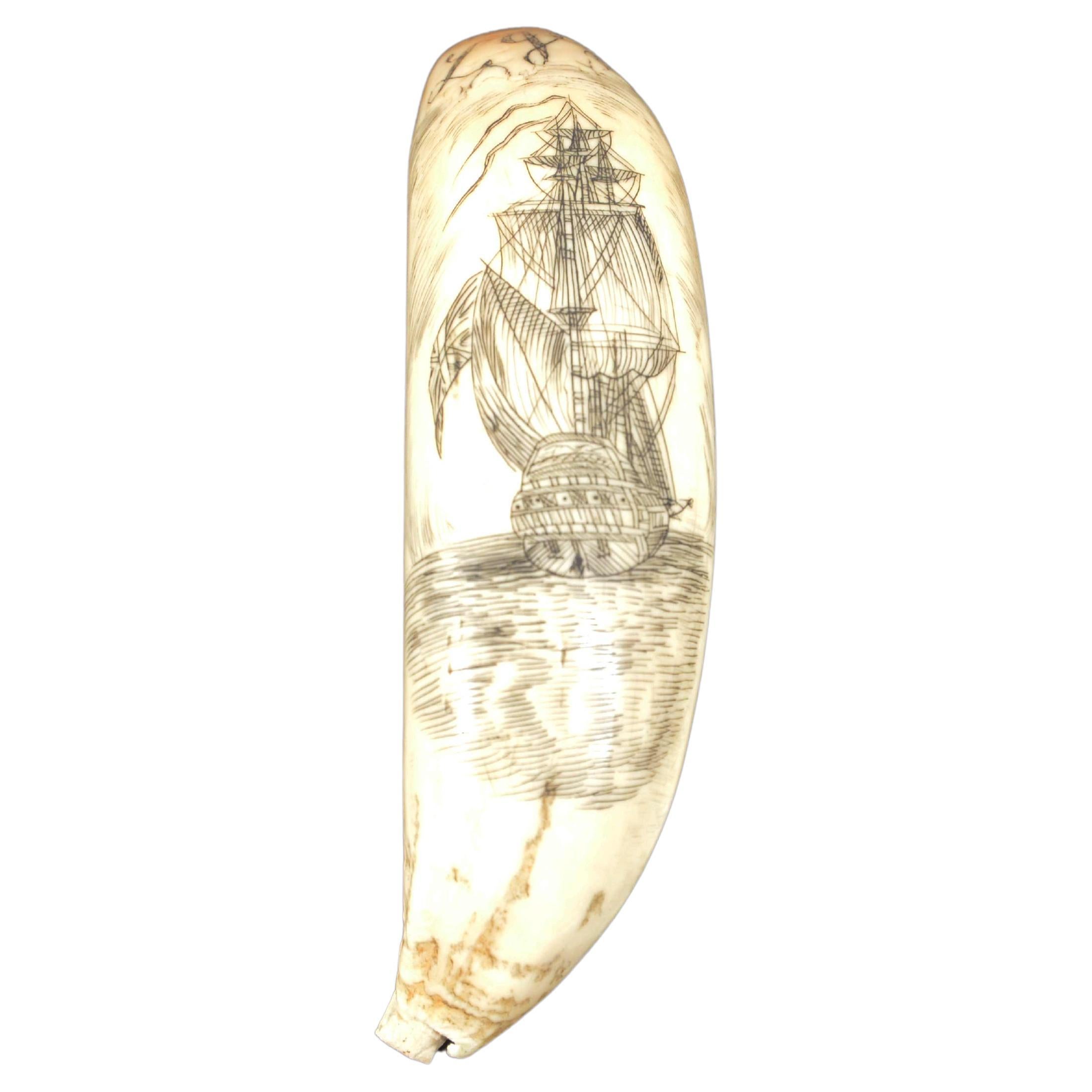 Scrimshaw de diente de orca grabado verticalmente que representa una vasija de mediados del siglo XIX