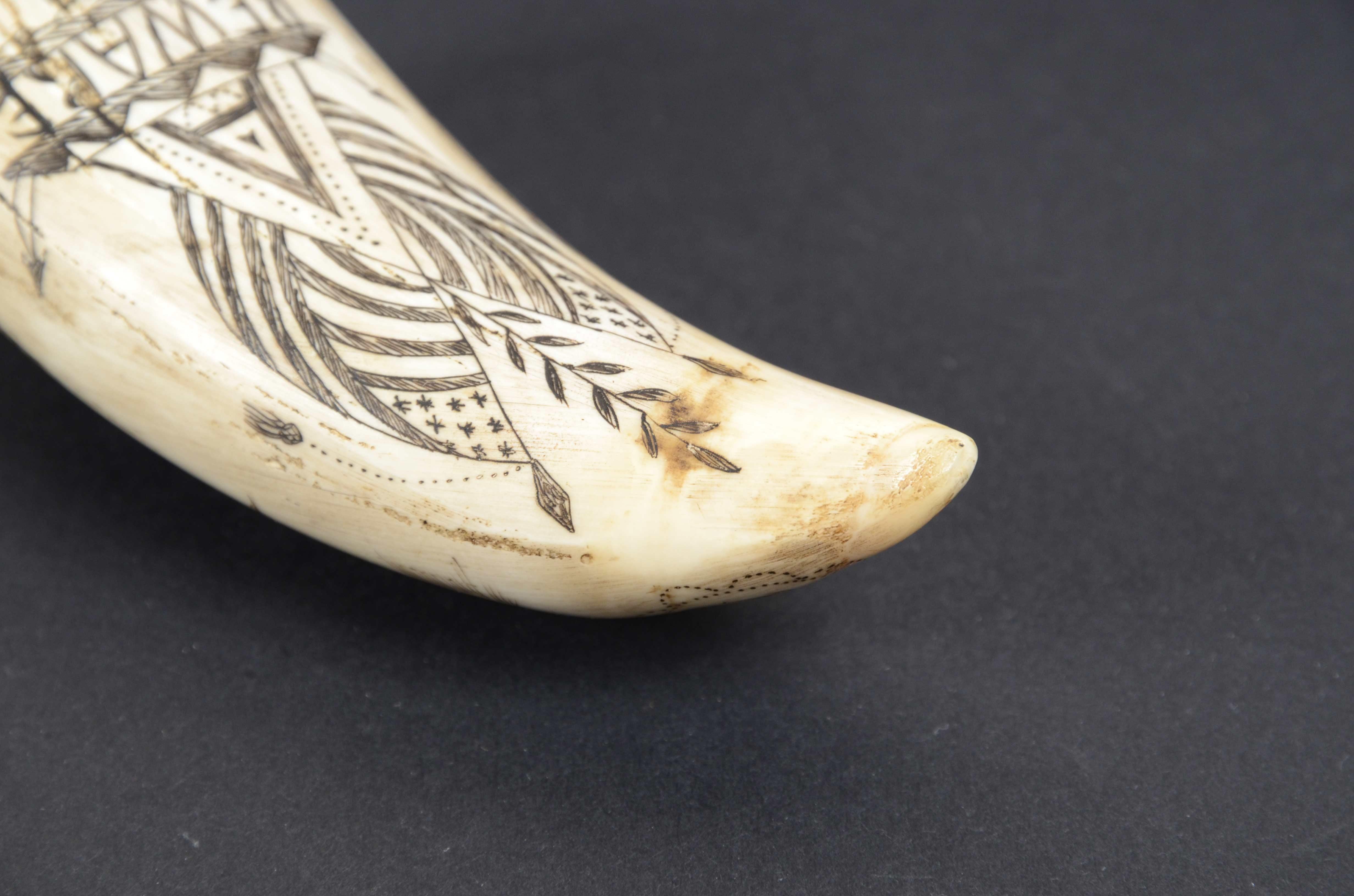 Scrimshaw di un dente di balena con faro inciso verticalmente datato 1868  6