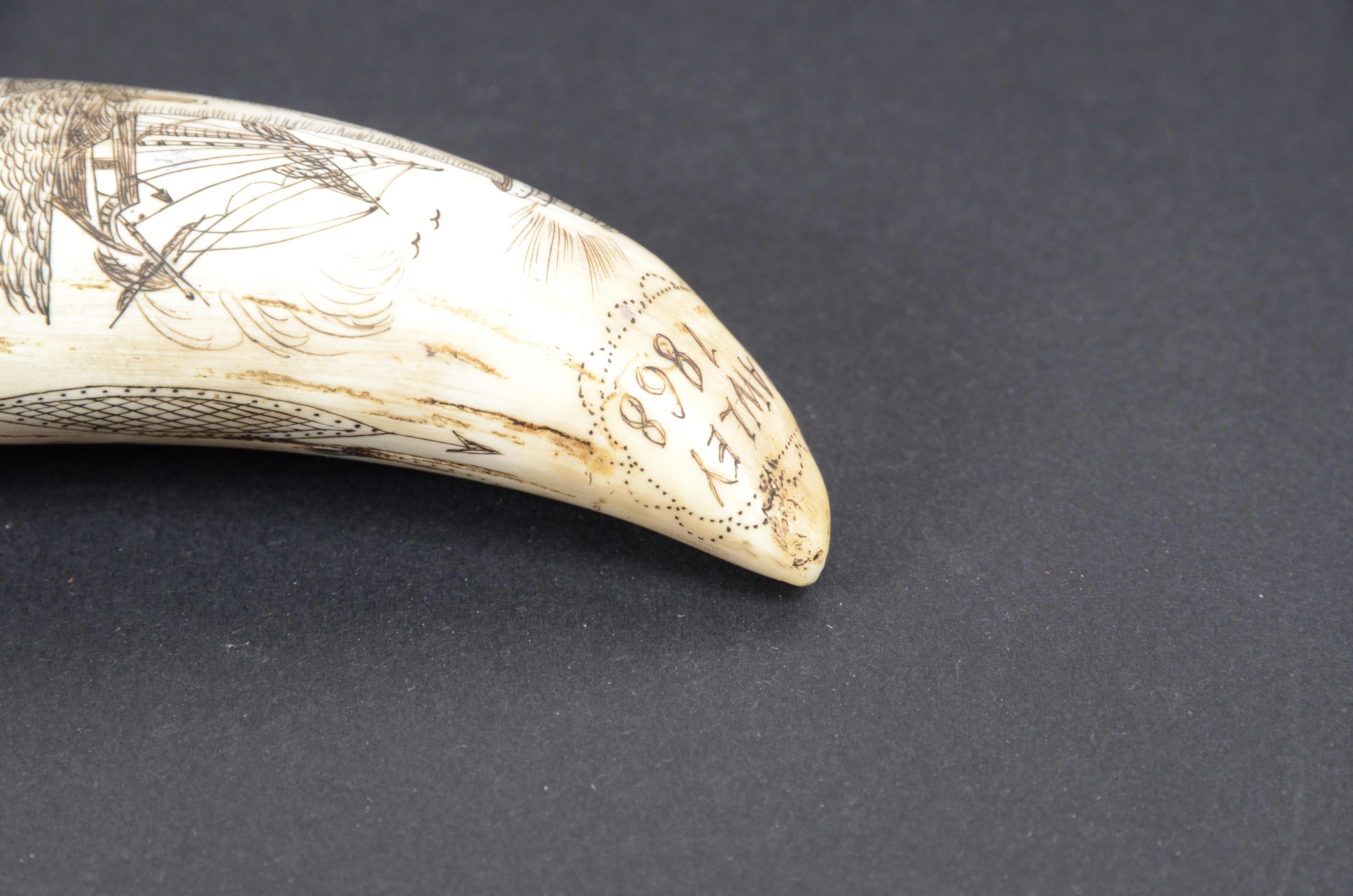Scrimshaw di un dente di balena con faro inciso verticalmente datato 1868  7