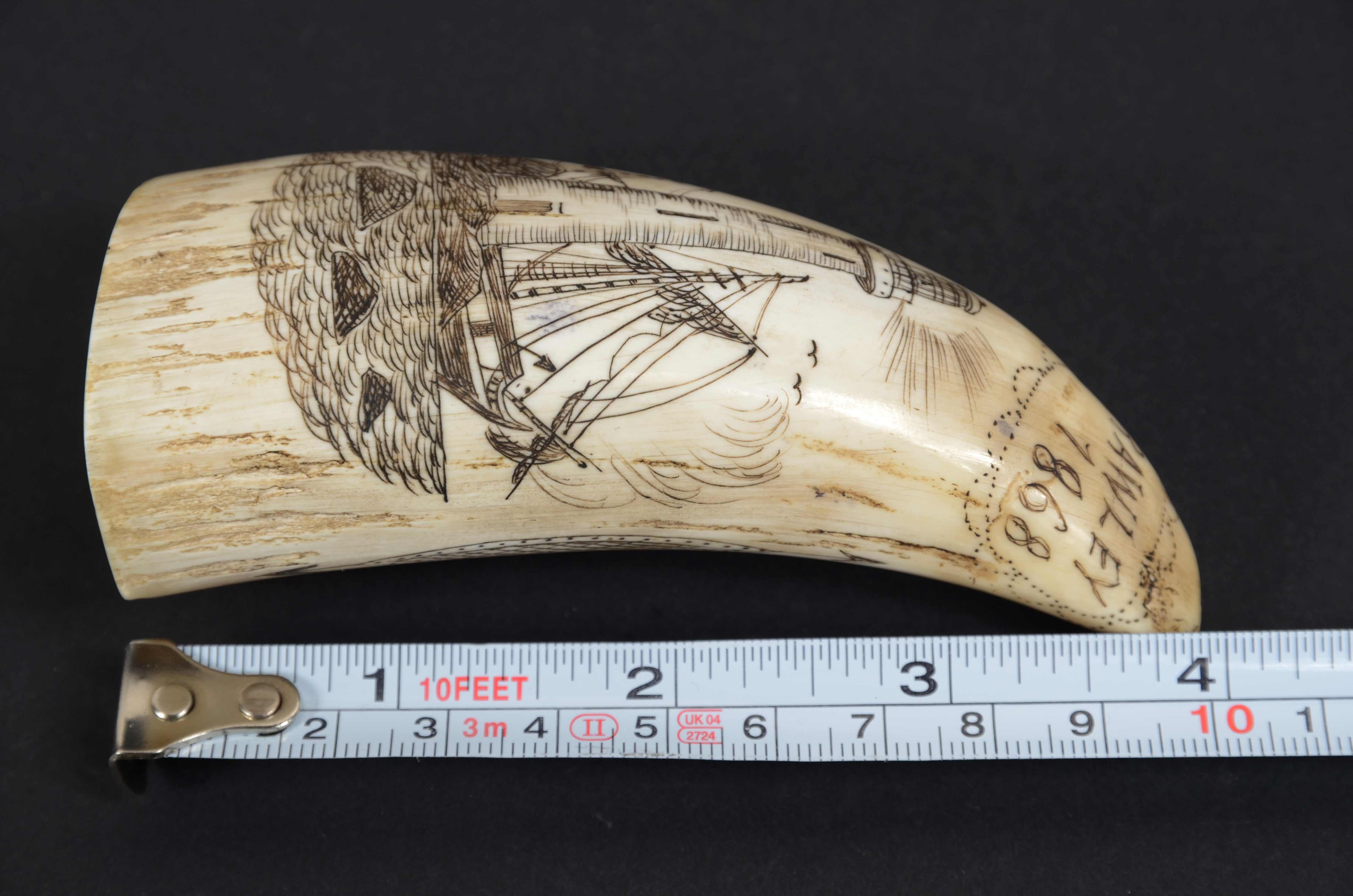 Scrimshaw di un dente di balena con faro inciso verticalmente datato 1868  8