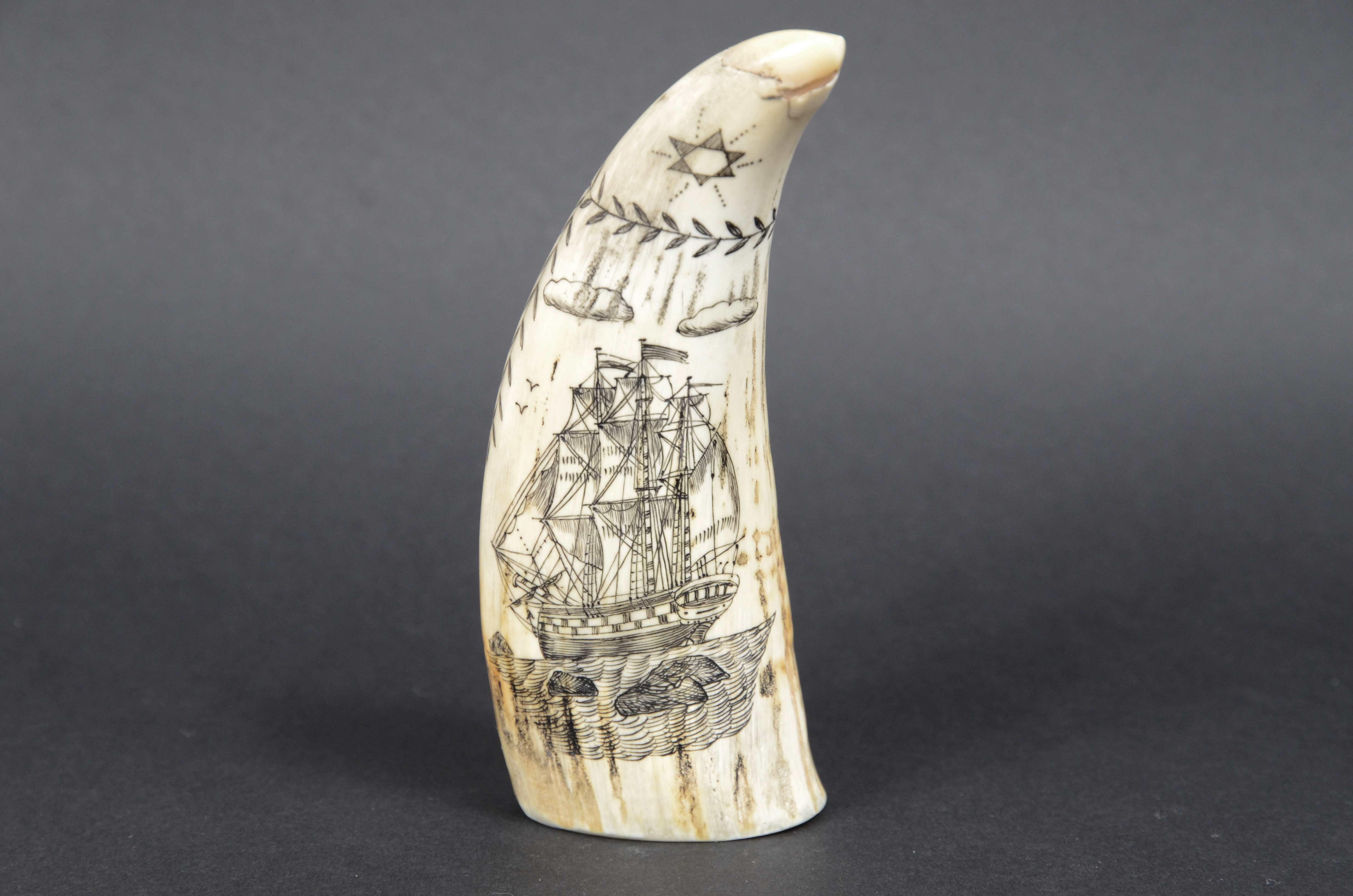 Scrimshaw di un dente di balena inciso 1850 che ritrae Lady of the pocks nuda en vente 5