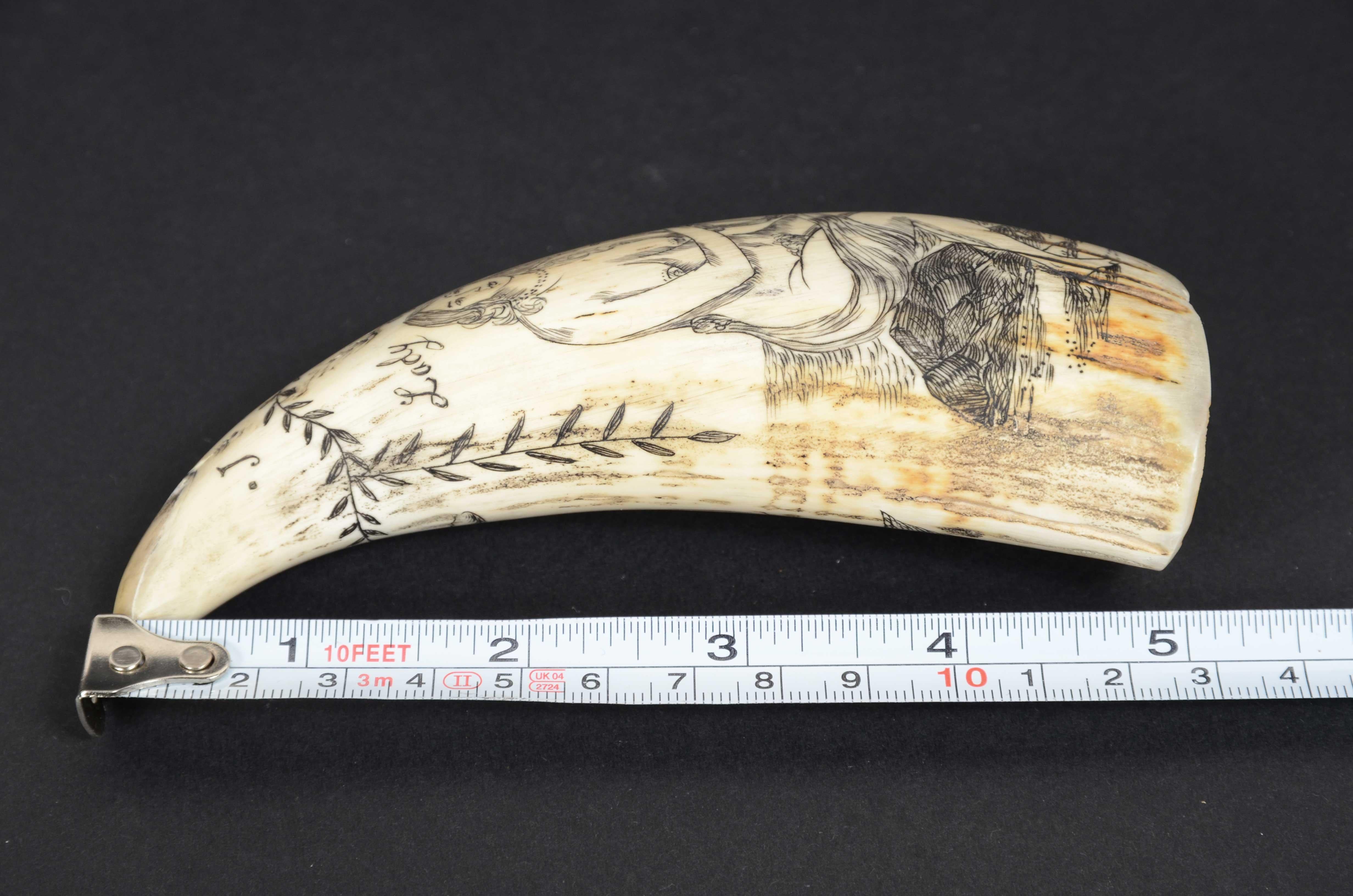 Scrimshaw di un dente di balena inciso 1850 che ritrae Lady of the pocks nuda en vente 14