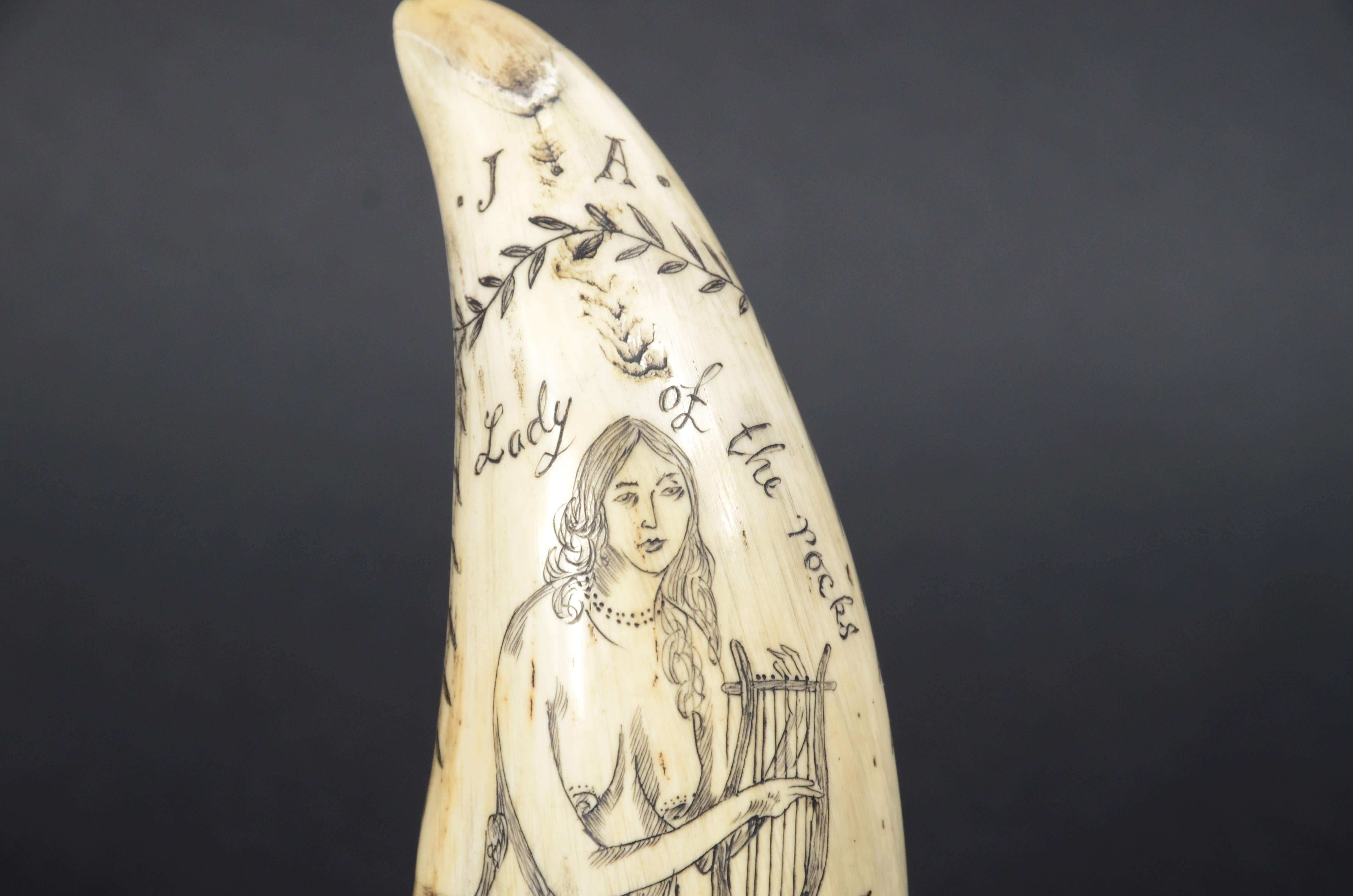 Scrimshaw di un dente di balena inciso 1850 che ritrae Lady of the pocks nuda en vente 3