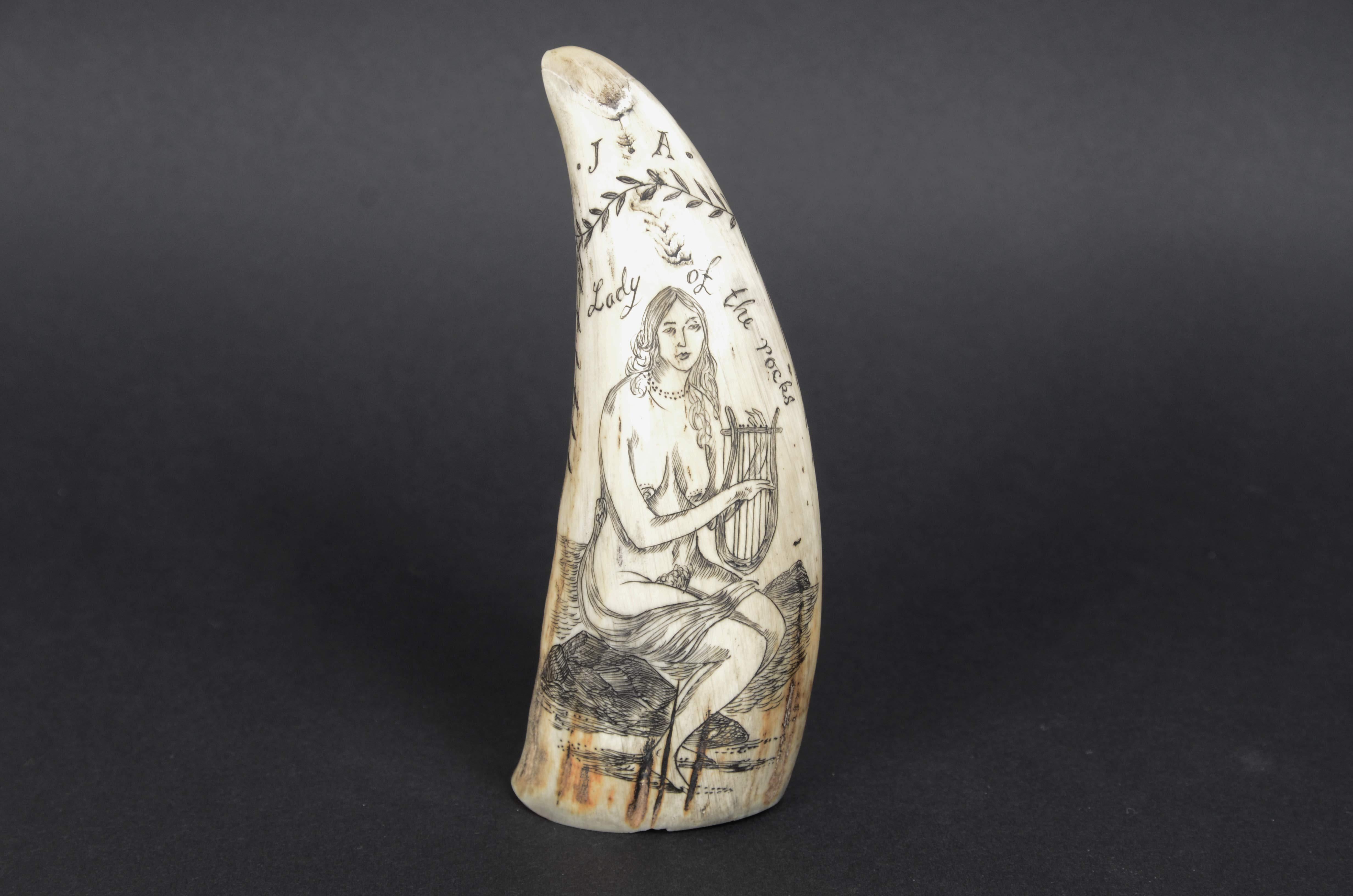 Scrimshaw di un dente di balena inciso 1850 che ritrae Lady of the pocks nuda en vente 4
