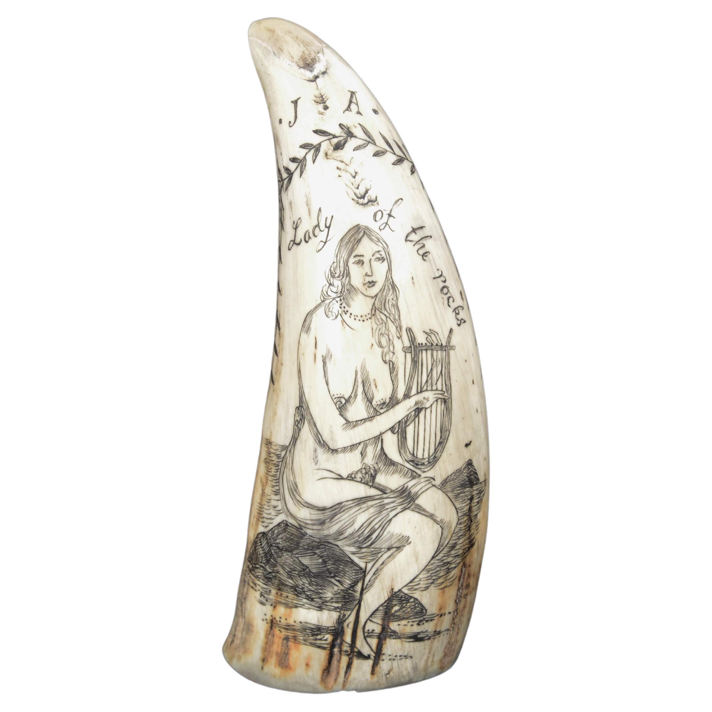 Scrimshaw di un dente di balena inciso 1850 che ritrae Lady of the pocks nuda en vente
