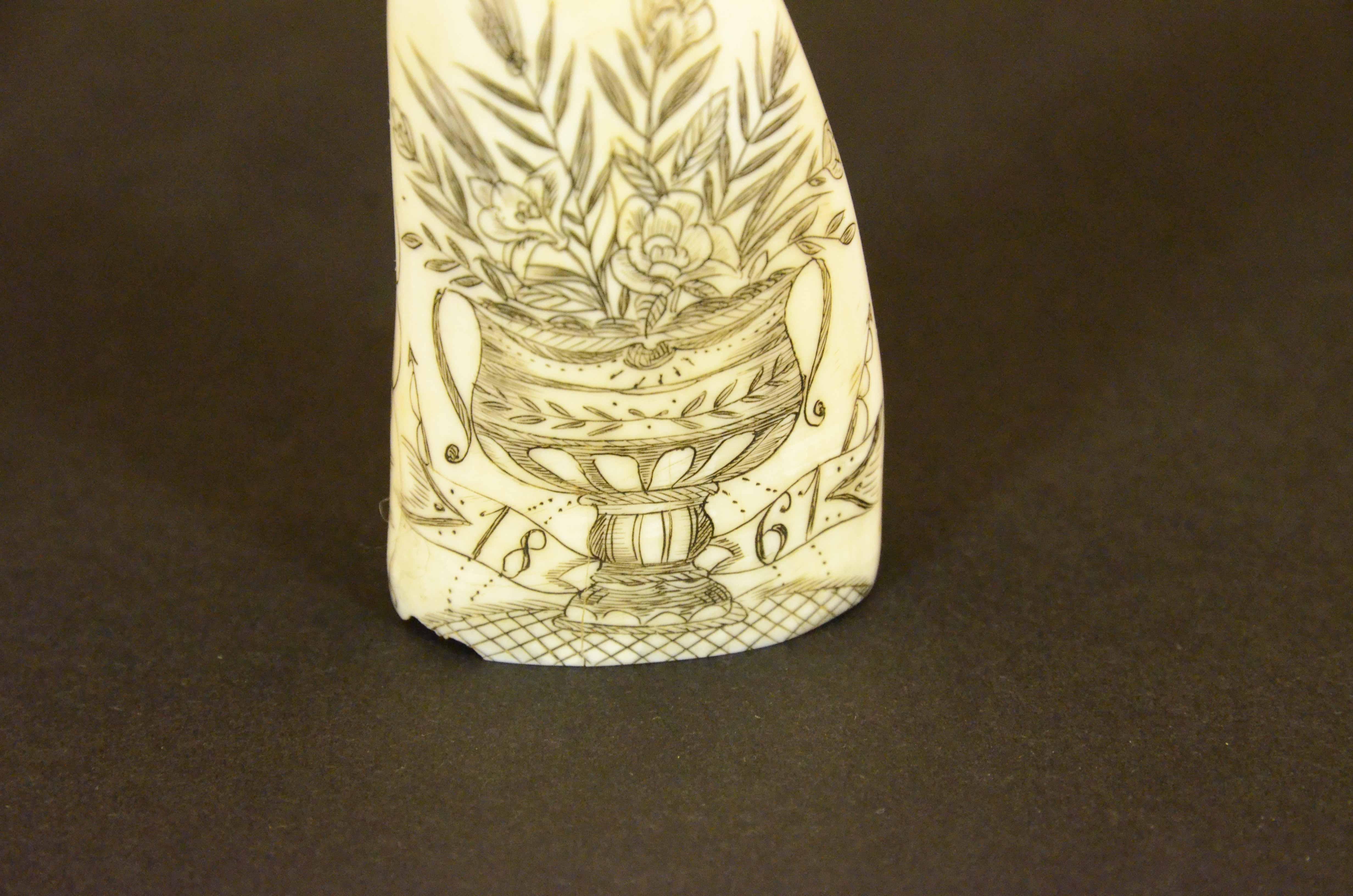 what is a scrimshaw tooth