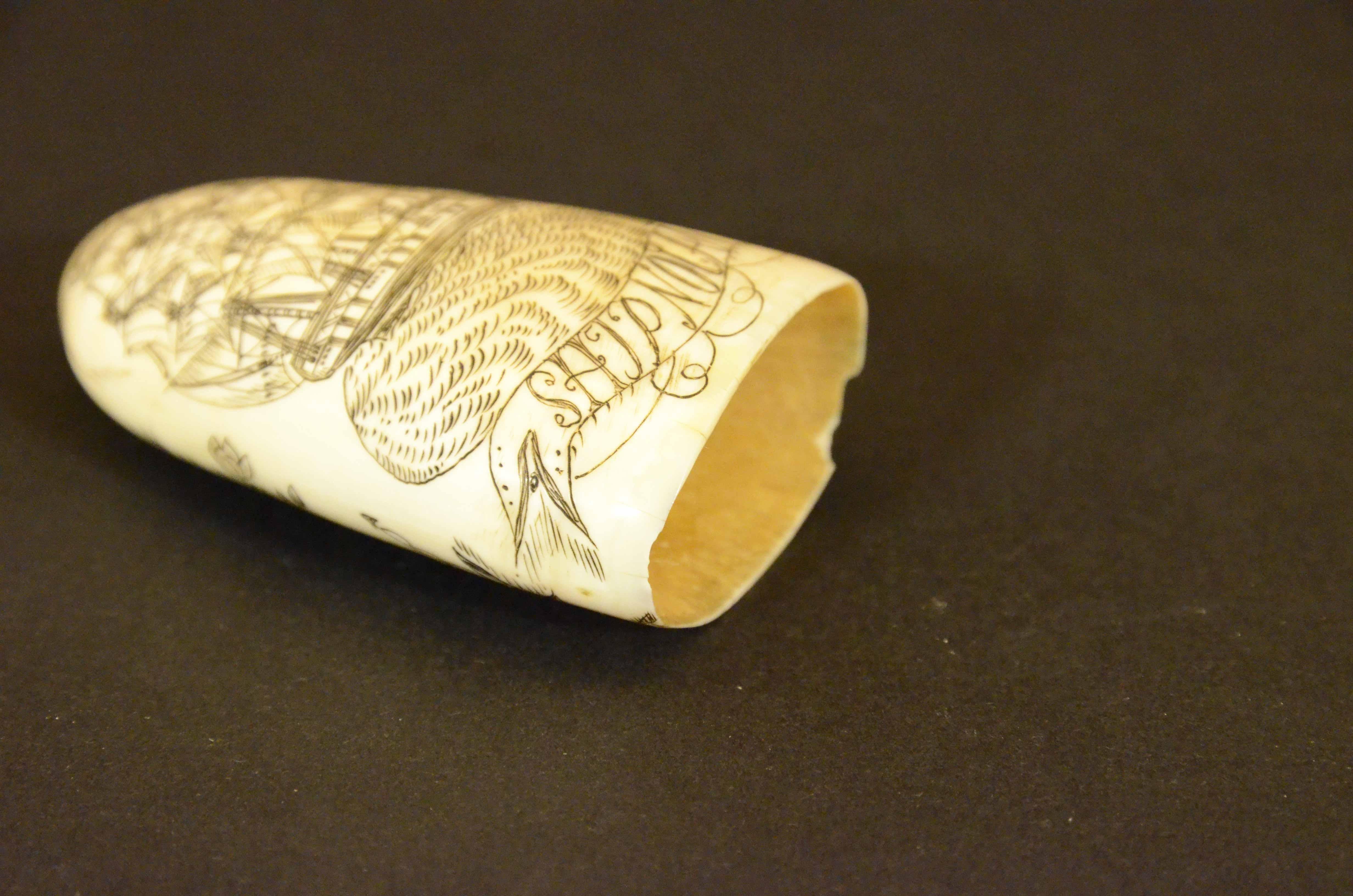 Teeth Scrimshaw of an engraved whale tooth dated 1861 depicting SHIP NOLAN For Sale