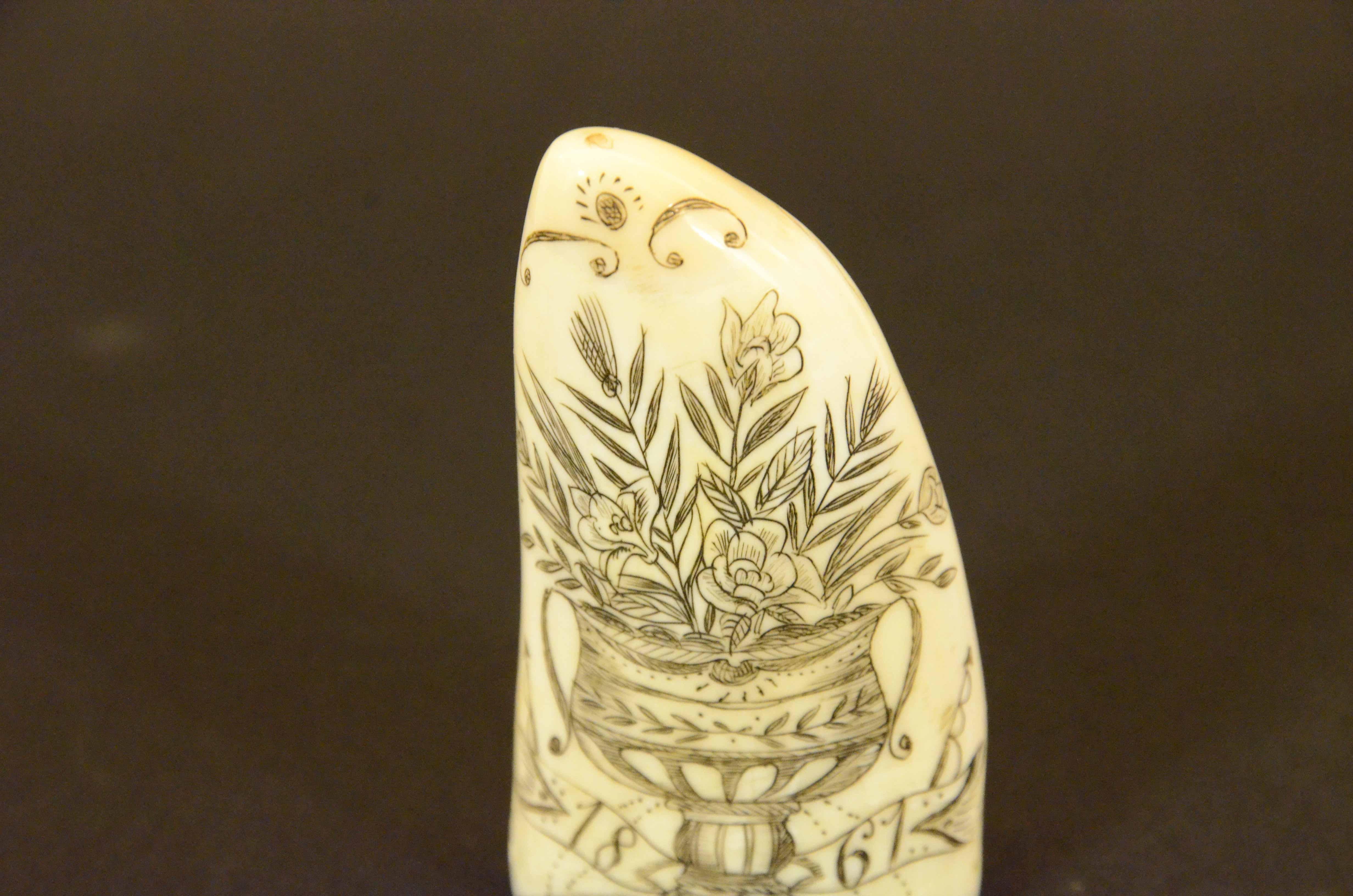Scrimshaw of an engraved whale tooth dated 1861 depicting SHIP NOLAN For Sale 3