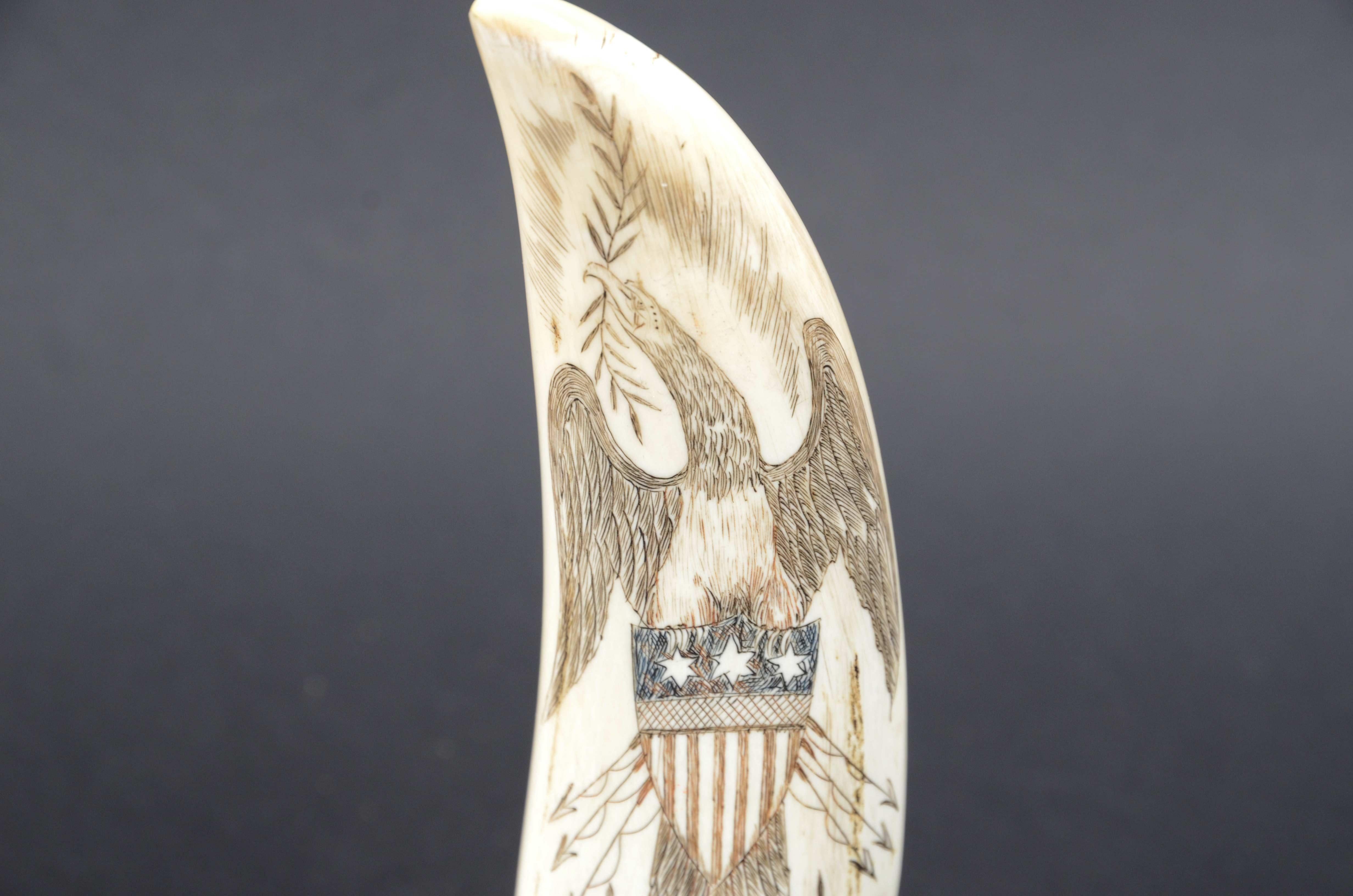 Scrimshaw di un dente di balena inciso del Generale Grant Presidente USA 1869-77 6