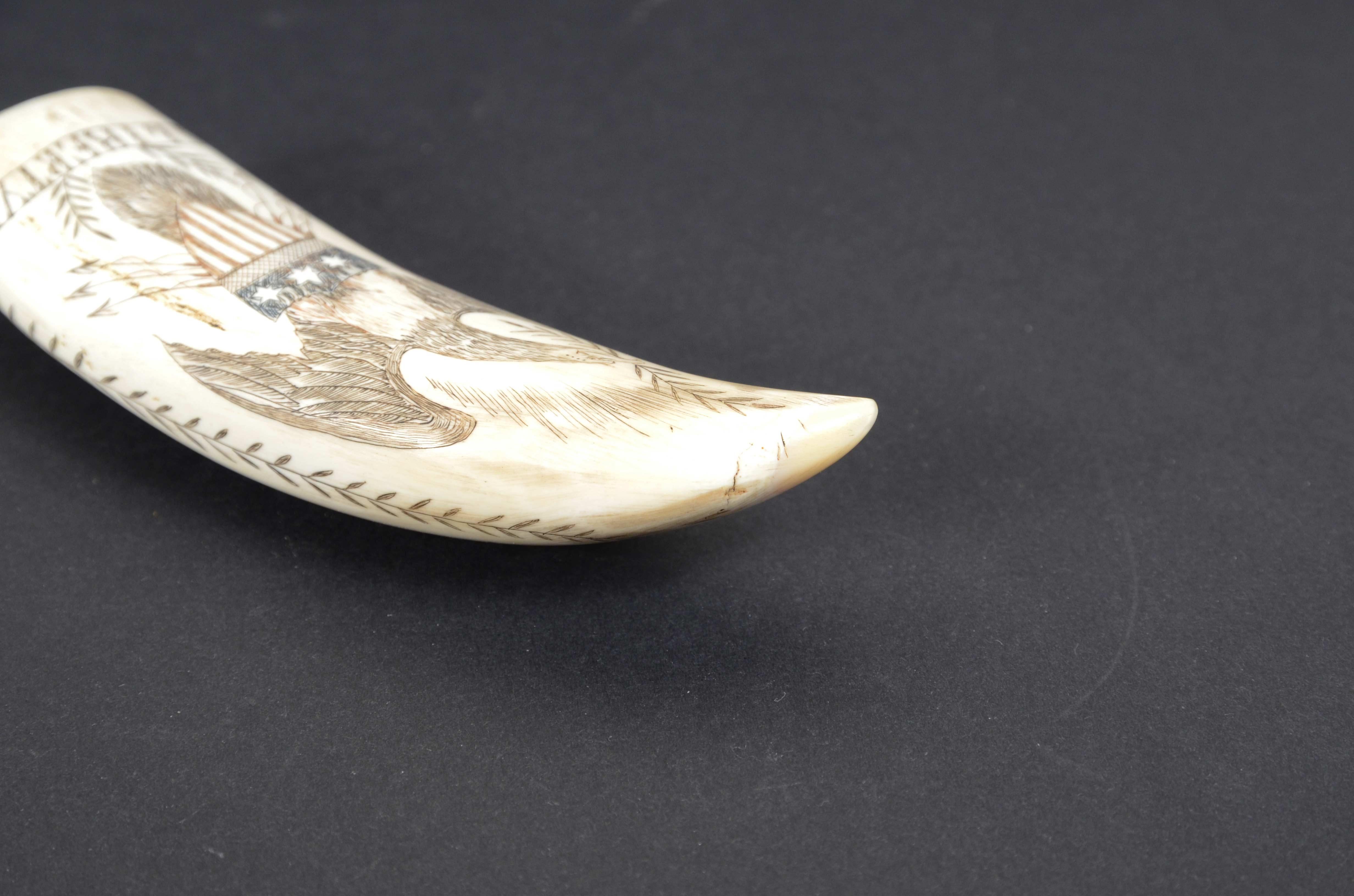 Scrimshaw di un dente di balena inciso del Generale Grant Presidente USA 1869-77 9