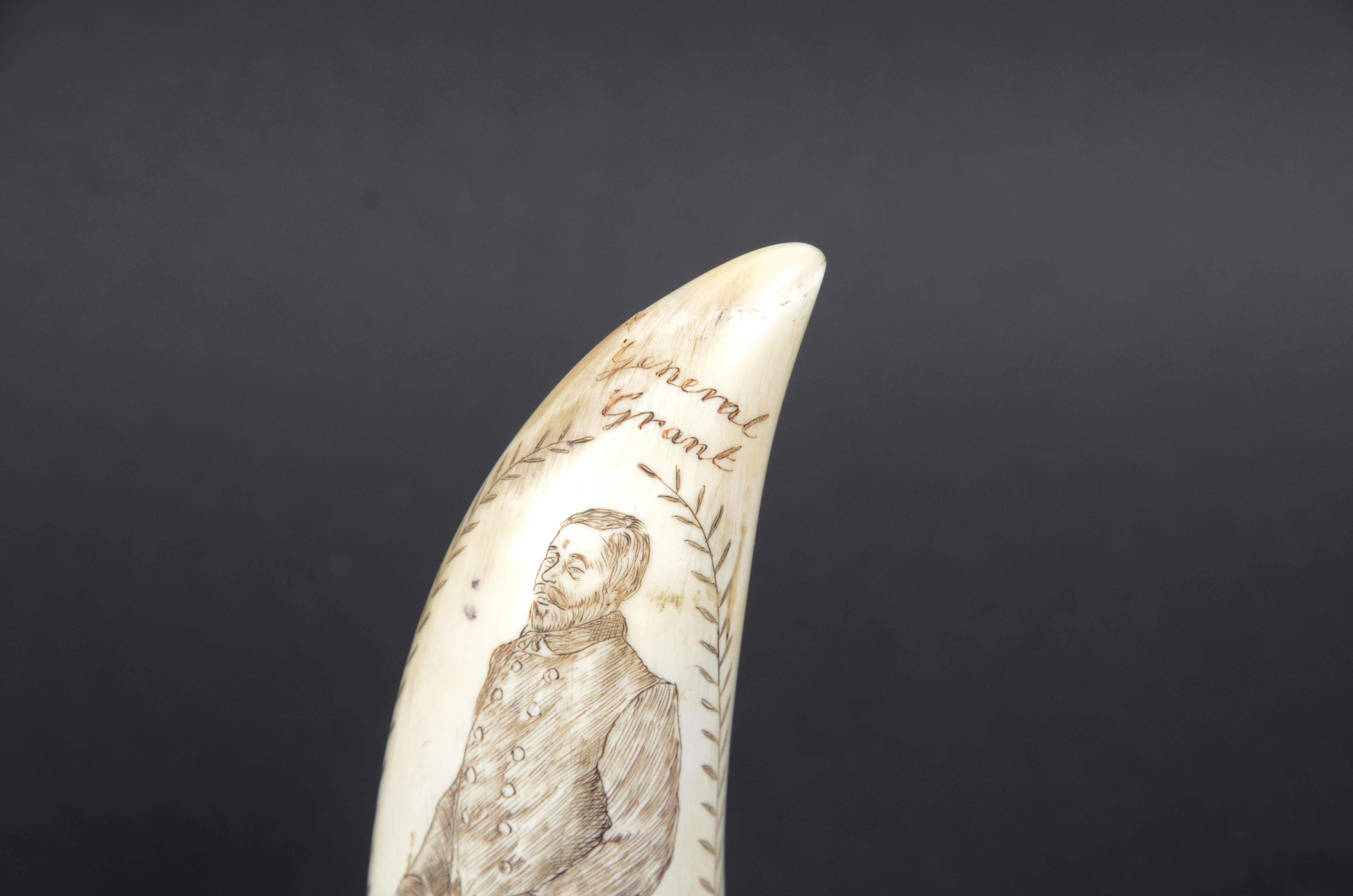 Scrimshaw di un dente di balena inciso del Generale Grant Presidente USA 1869-77 In Good Condition In Milan, IT