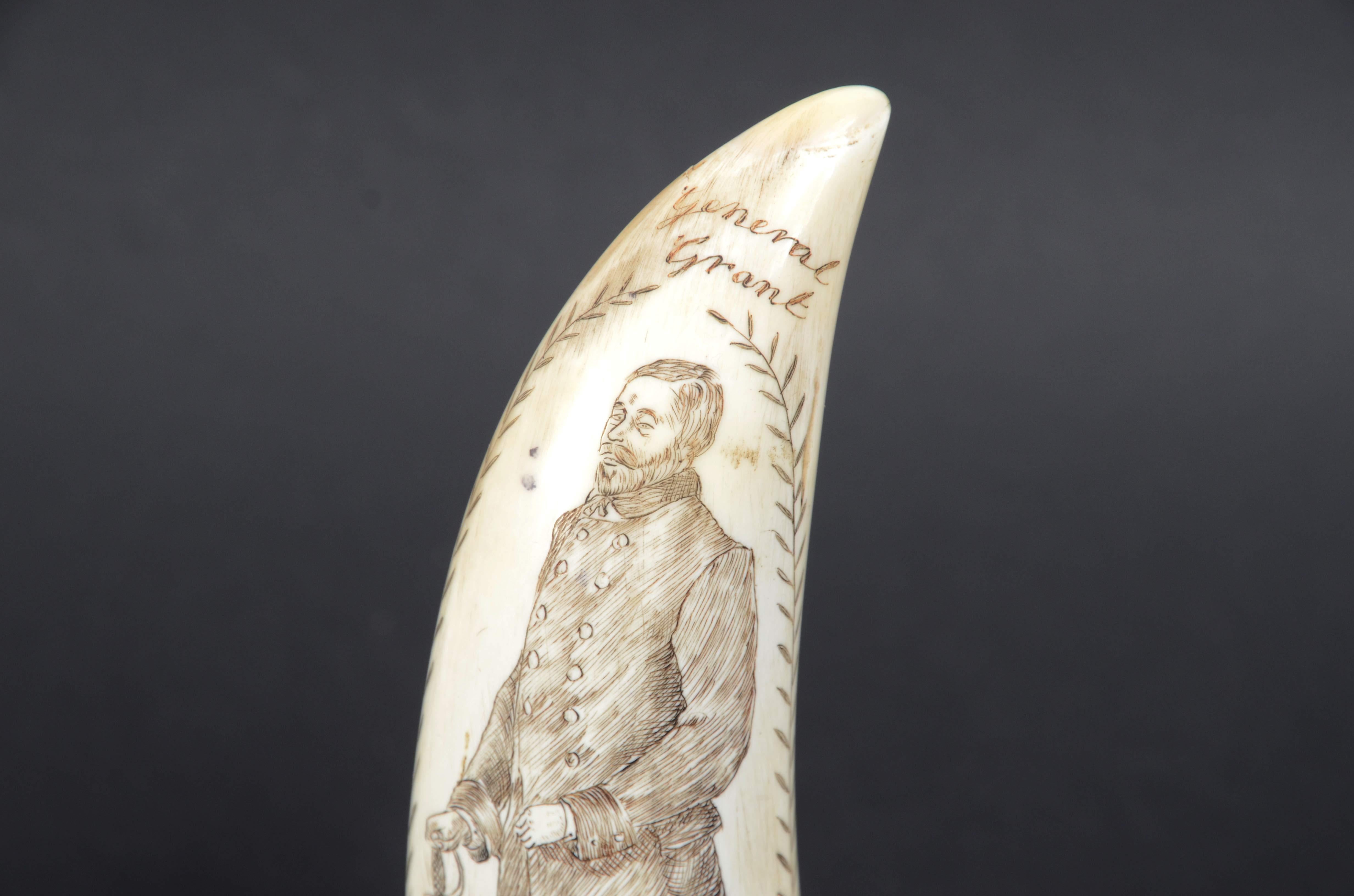 Scrimshaw di un dente di balena inciso del Generale Grant Presidente USA 1869-77 4