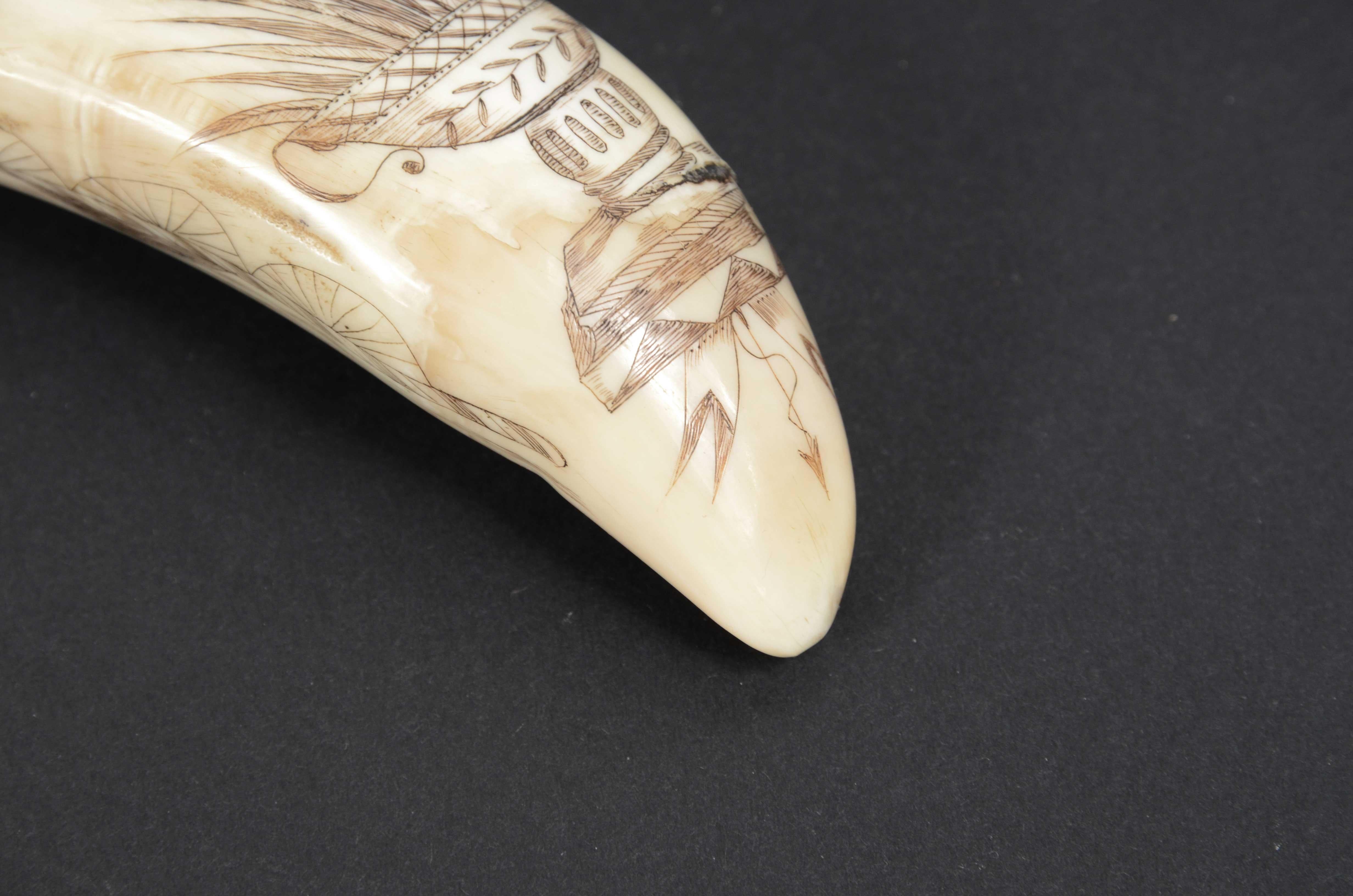 Scrimshaw of an engraved whale tooth mid-19th century cm 12, name of the Ship Fox For Sale 5