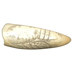 Scrimshaw di un dente di balena inciso pregevole fattura prima metà XIX secolo