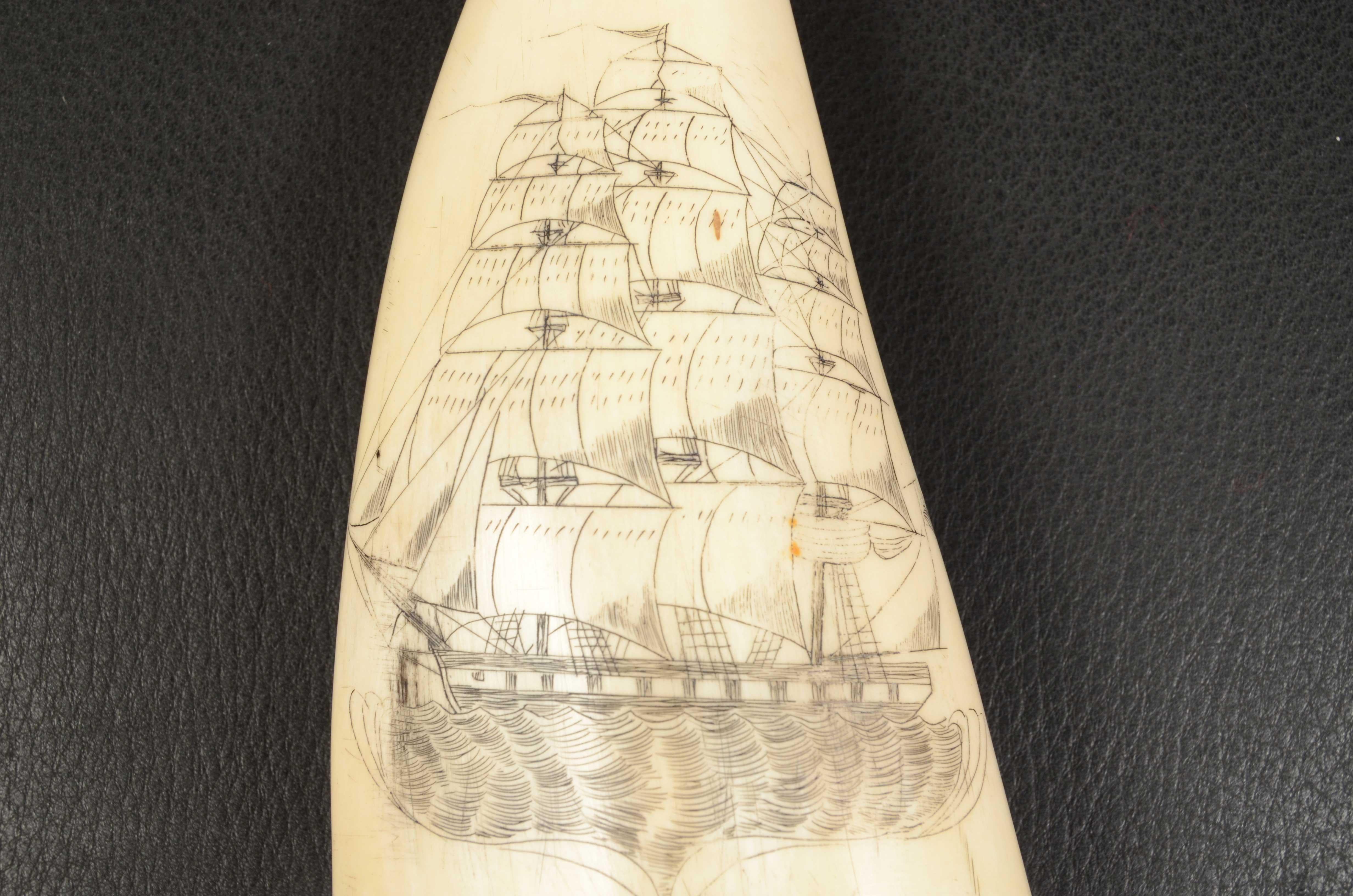 Scrimshaw di un dente di balena inciso verticalmente pregevole fattura del 1830 In Good Condition In Milan, IT