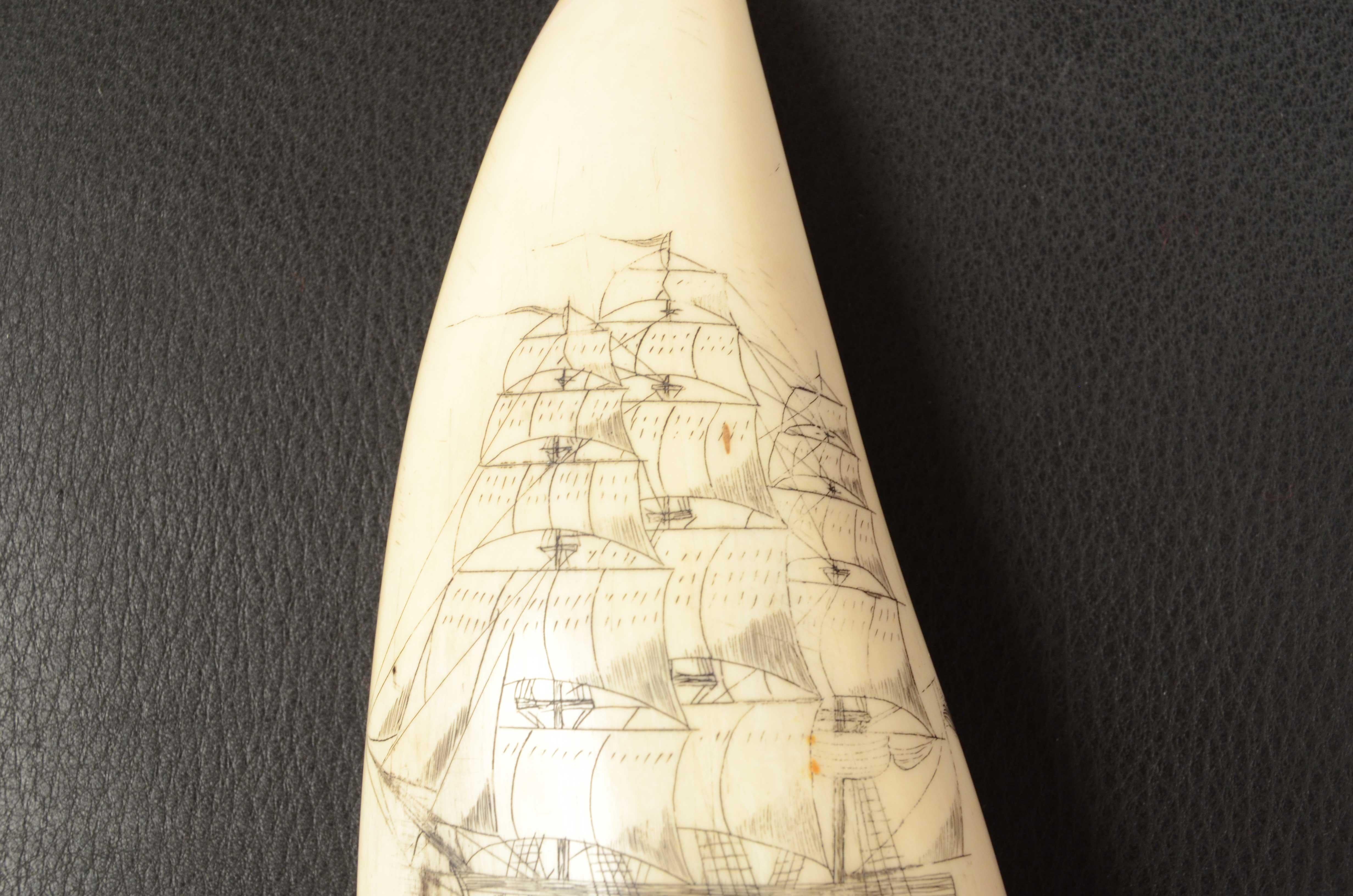 Mid-19th Century Scrimshaw di un dente di balena inciso verticalmente pregevole fattura del 1830