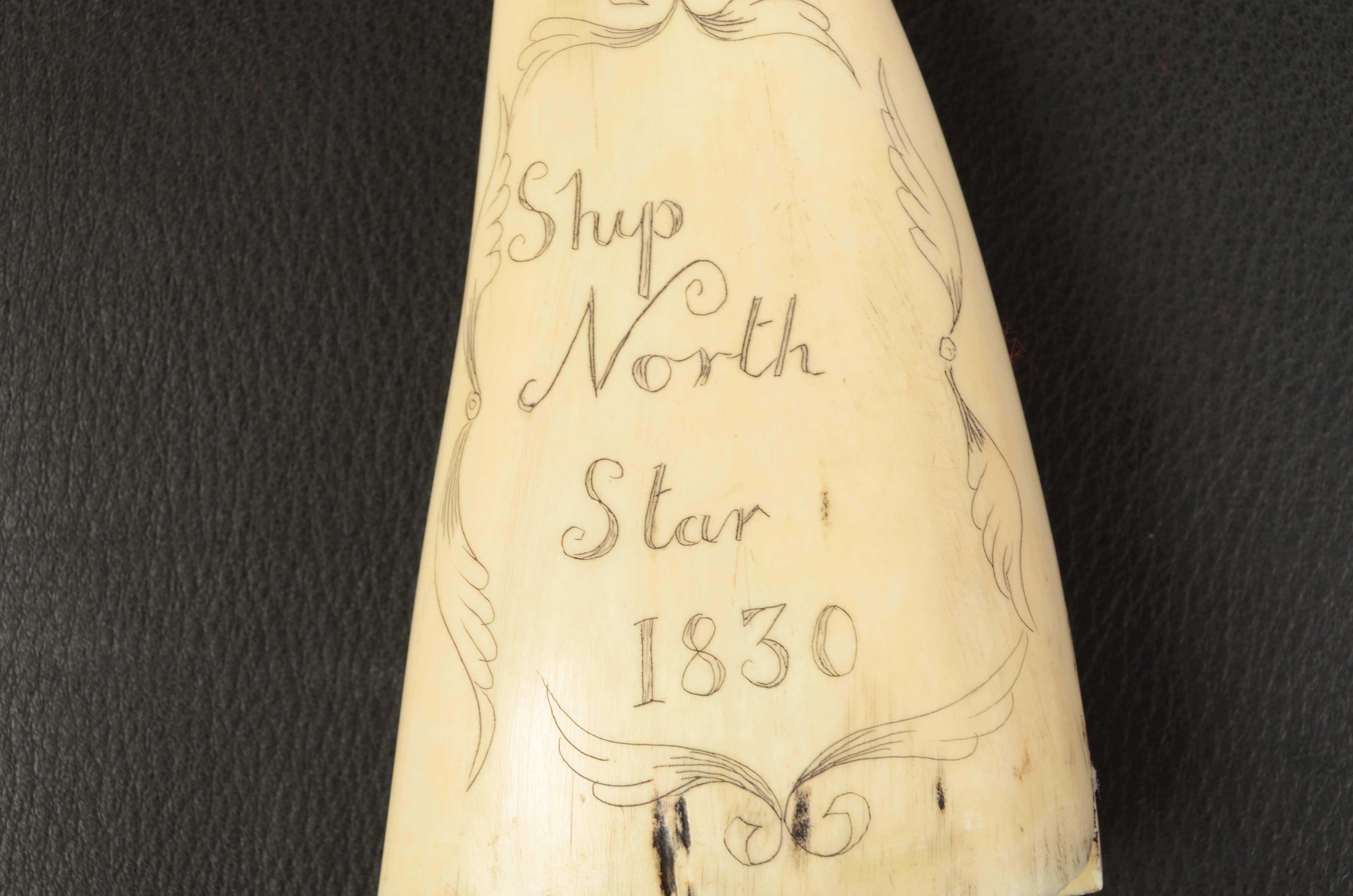 Scrimshaw di un dente di balena inciso verticalmente pregevole fattura del 1830 2