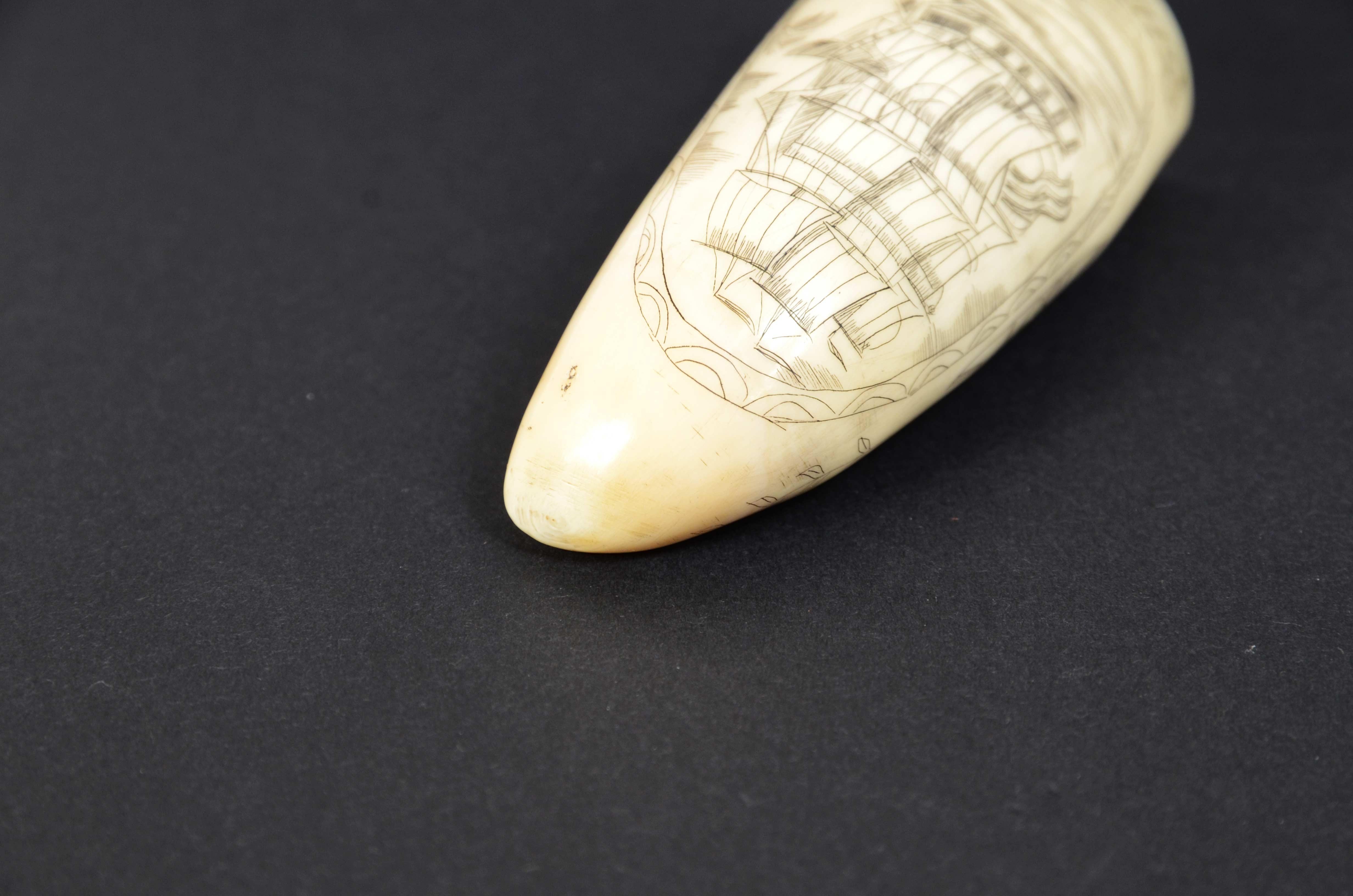 Scrimshaw of a vertically engraved whale tooth Ship Huron dated 1839 cm 9 For Sale 3