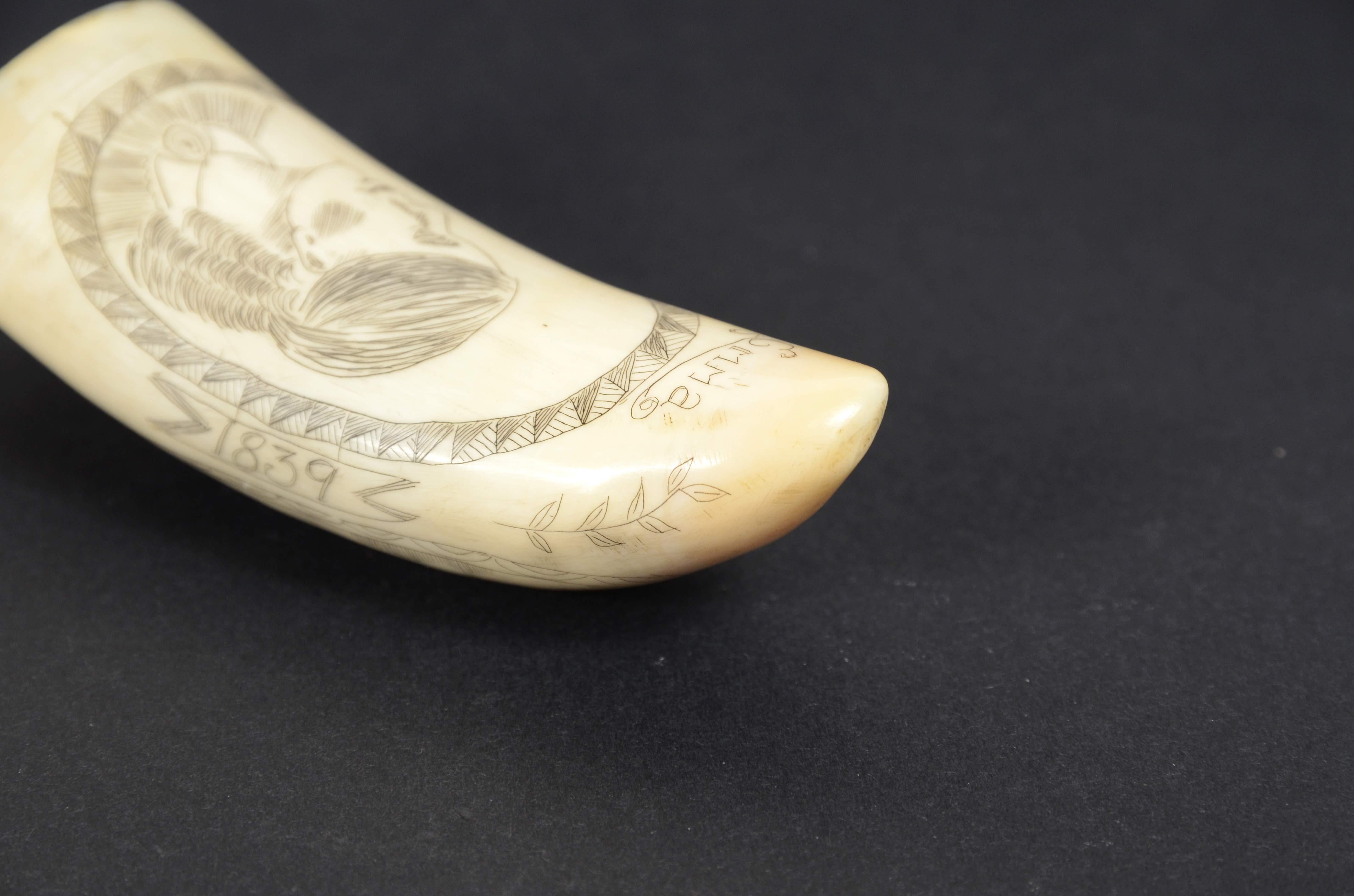Scrimshaw d'une dent de baleine gravée verticalement Ship Huron daté 1839 cm 9 en vente 3