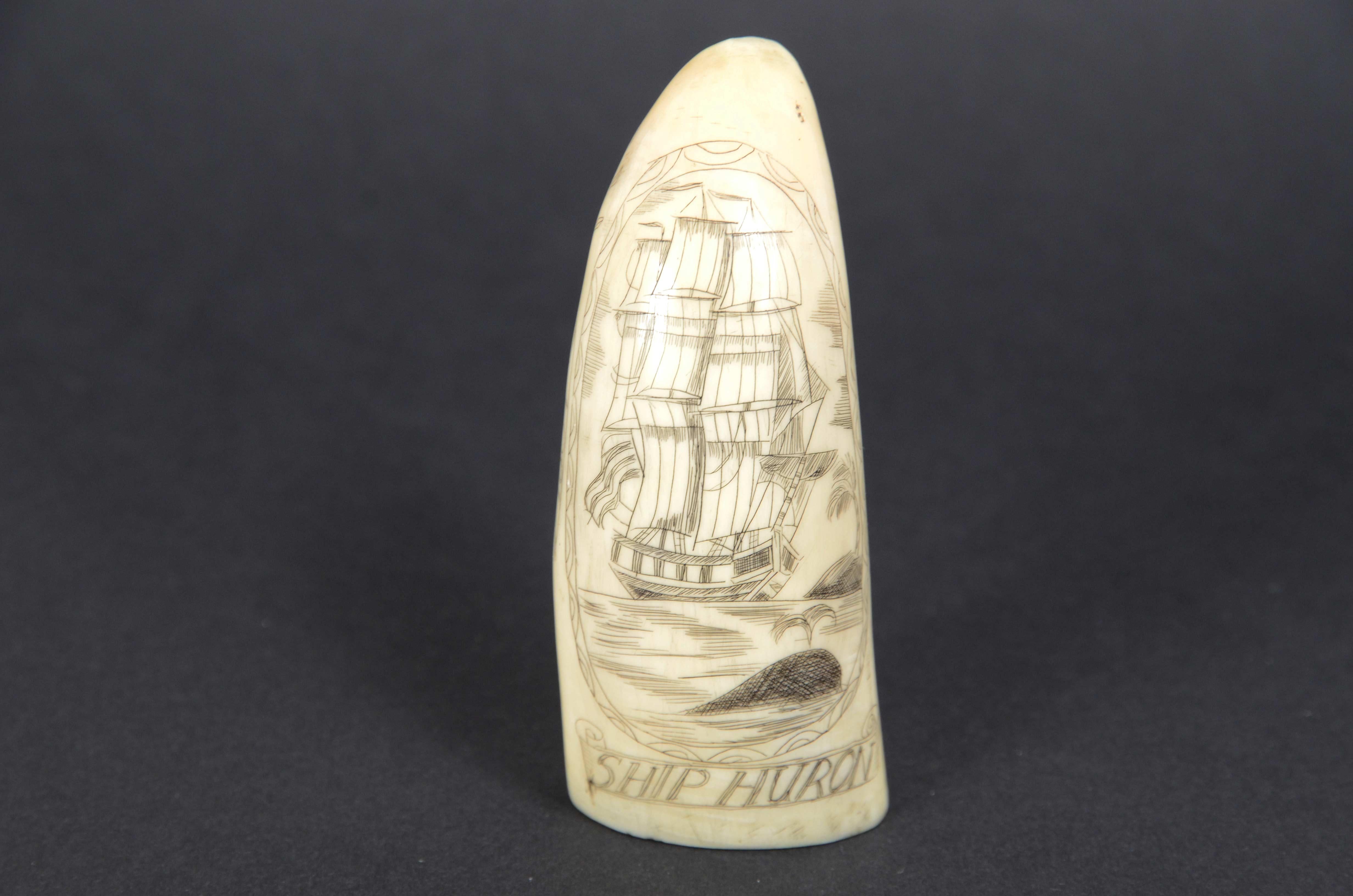 Scrimshaw d'une dent de baleine gravée verticalement Ship Huron daté 1839 cm 9 en vente 1