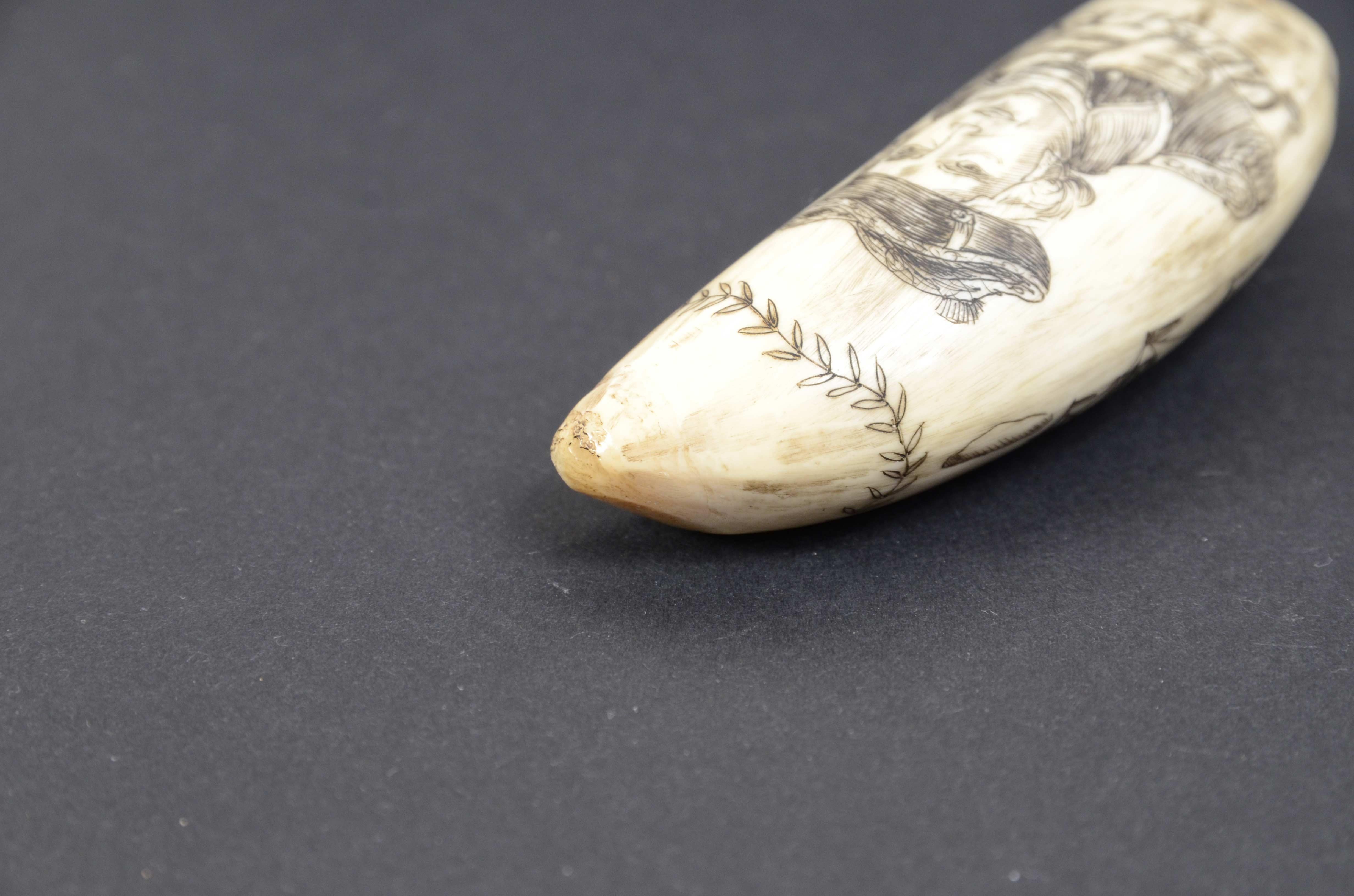 Scrimshaw of a vertically engraved orca tooth with half bust Captain RYAN For Sale 4