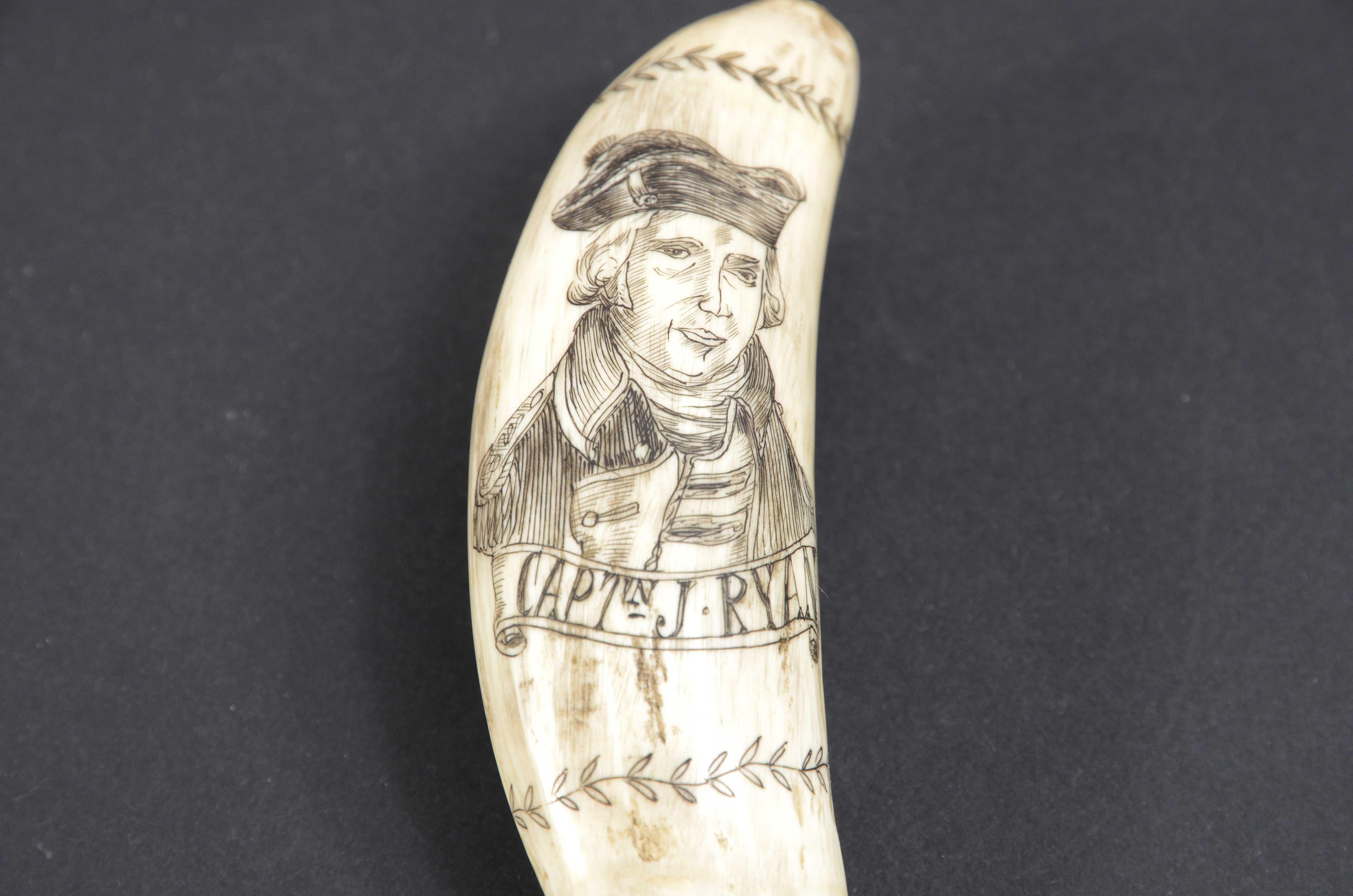 Scrimshaw of a vertically engraved orca tooth , dated around the mid-19th century. Depicting the half-bust of Capt. J. RYAN, engraving of excellent  execution and rich in detail,  on the back her vessel sailing under herringbone sails. A double