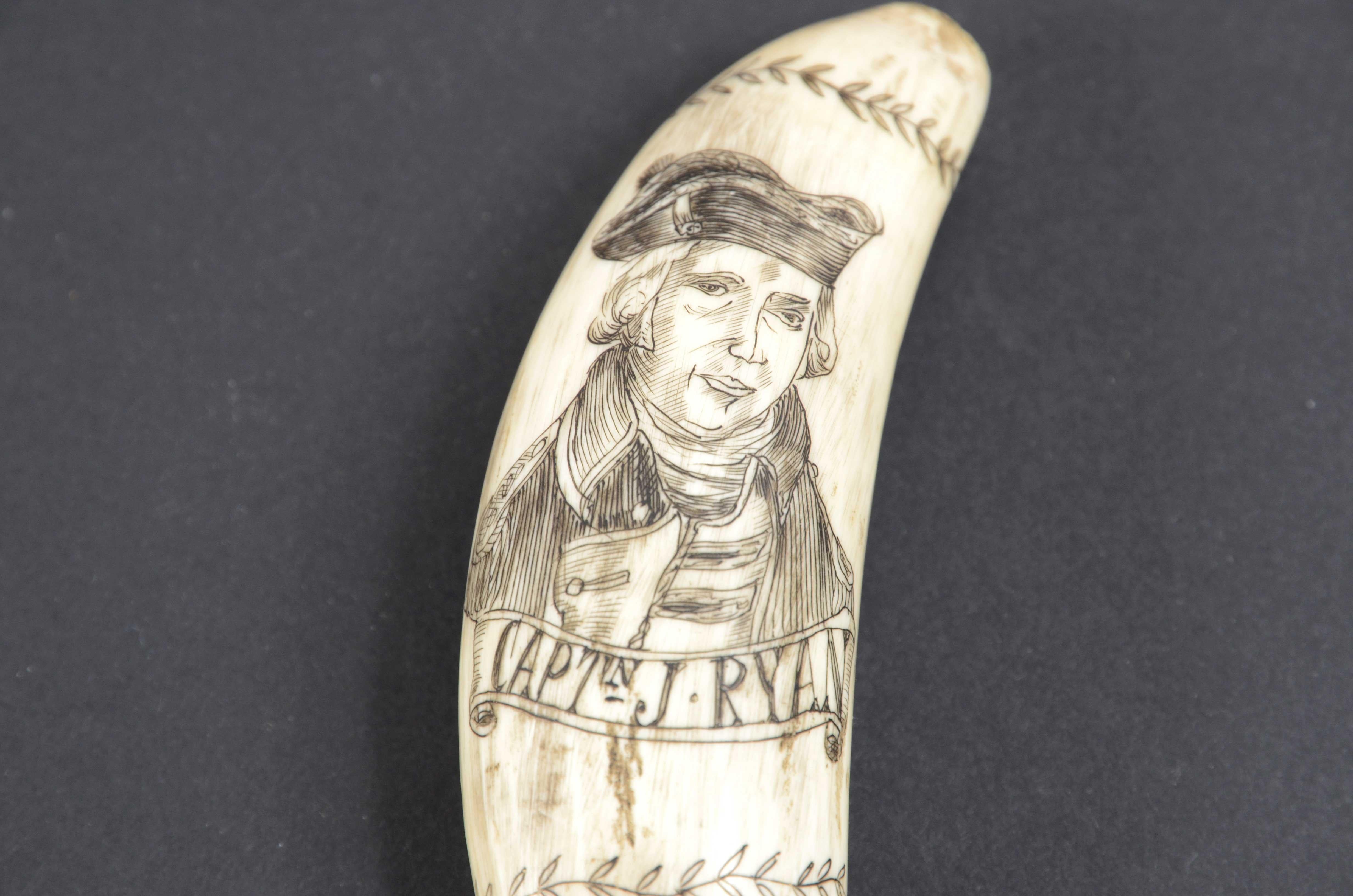 Scrimshaw of a vertically engraved orca tooth with half bust Captain RYAN In Good Condition For Sale In Milan, IT