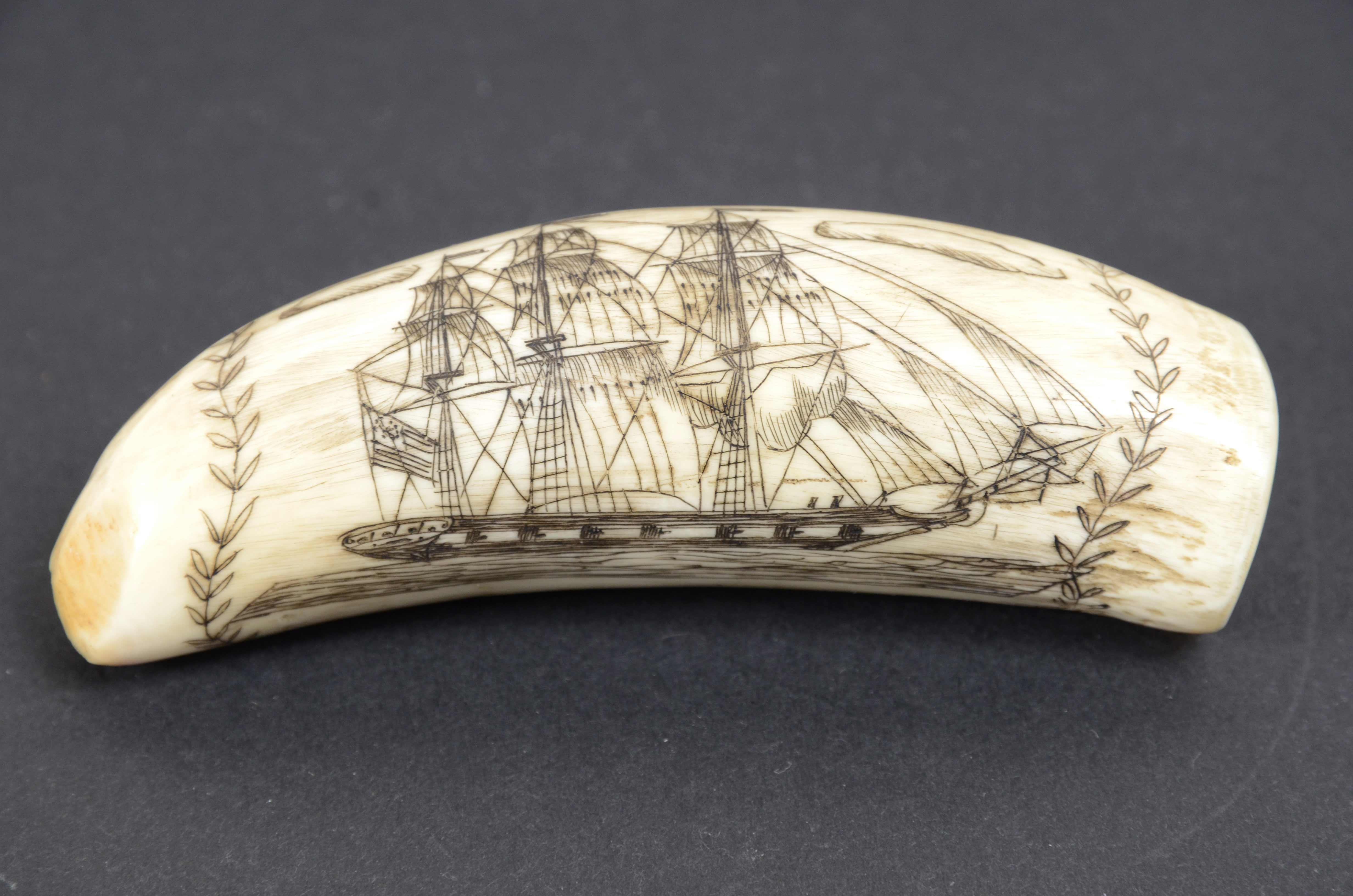 19th Century Scrimshaw of a vertically engraved orca tooth with half bust Captain RYAN For Sale