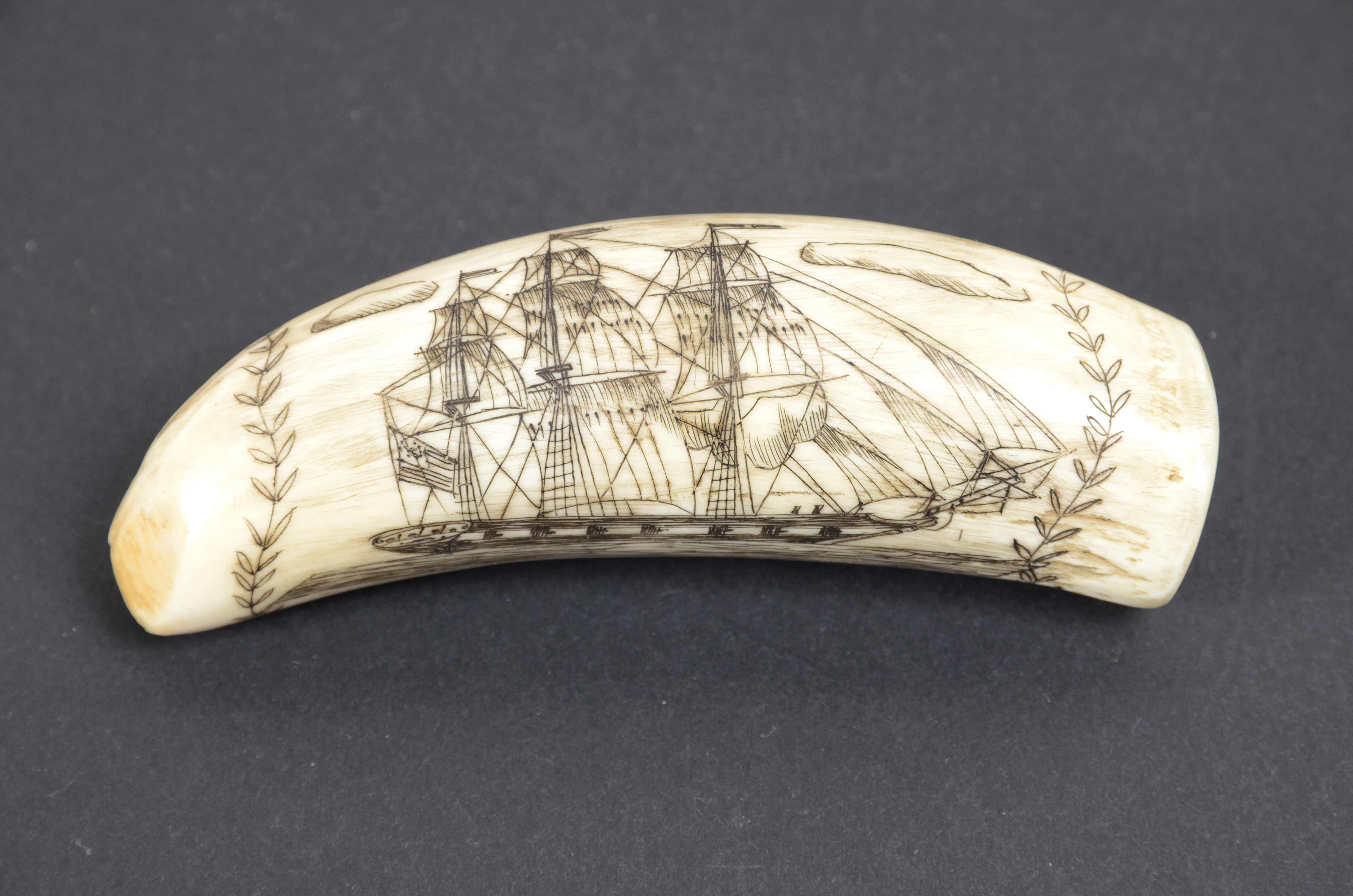 Teeth Scrimshaw of a vertically engraved orca tooth with half bust Captain RYAN For Sale