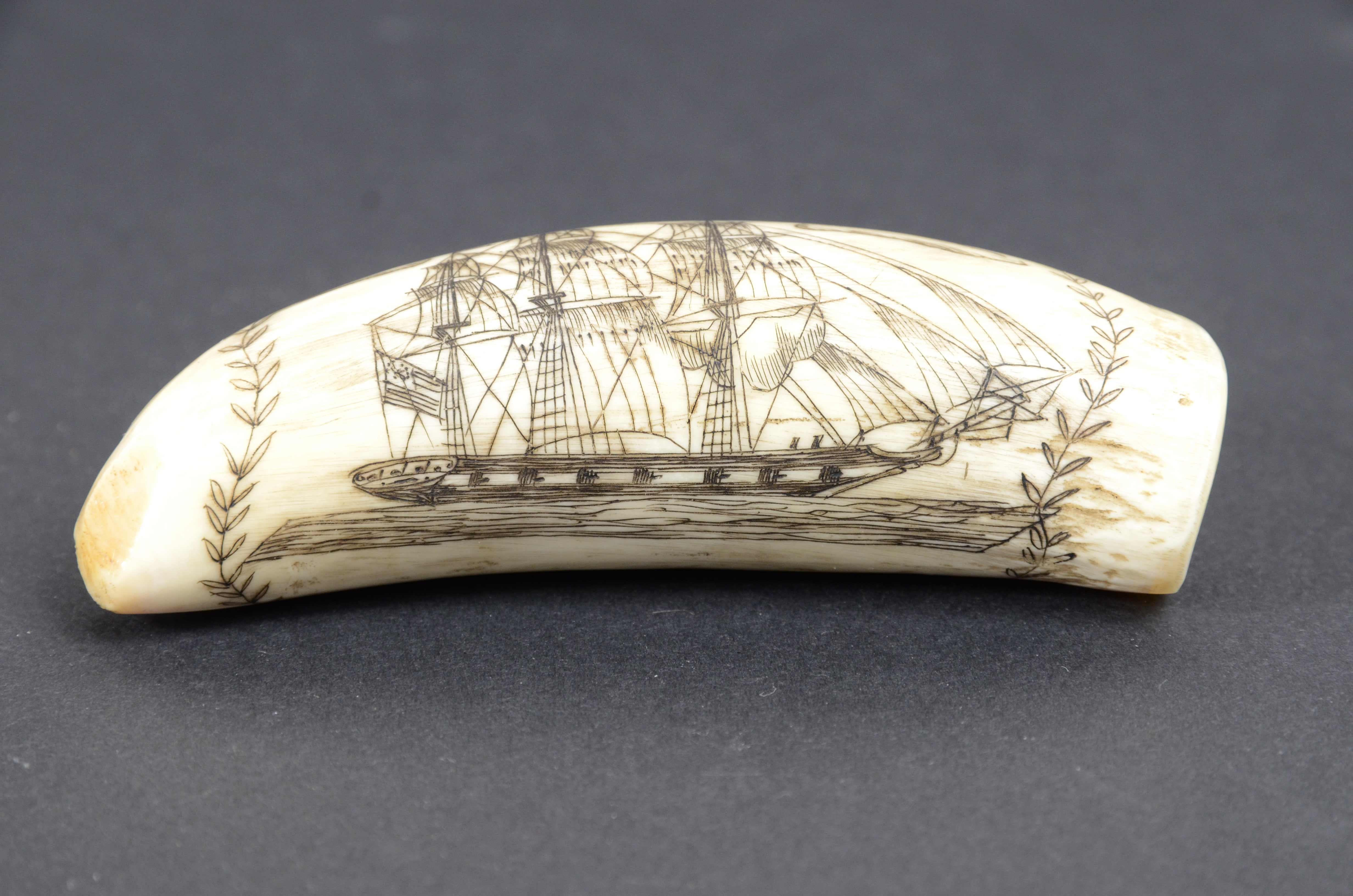 Scrimshaw of a vertically engraved orca tooth with half bust Captain RYAN For Sale 1