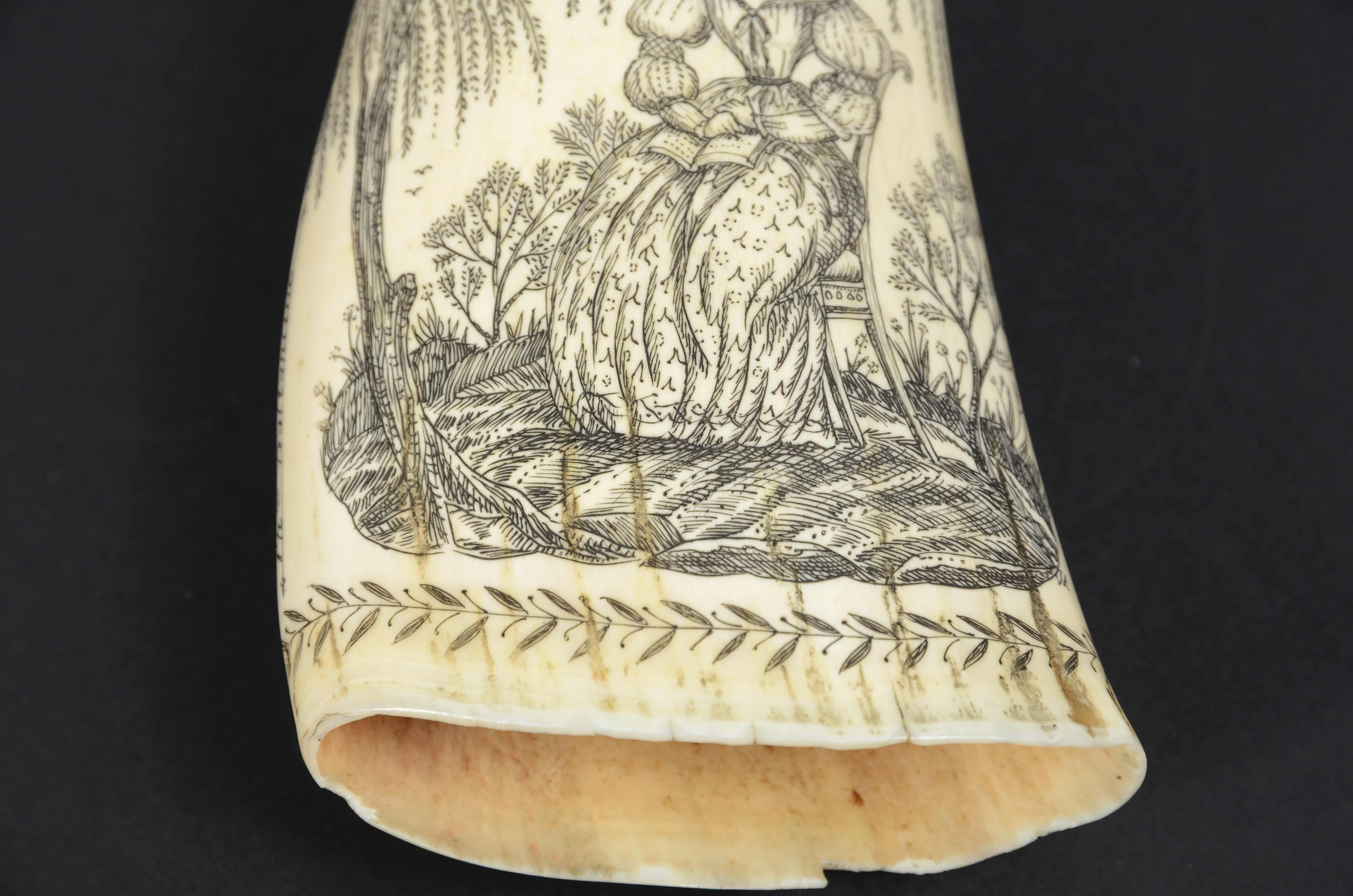 Scrimshaw of a great  engraved whale tooth exquisite workmanship mid-19th century 2