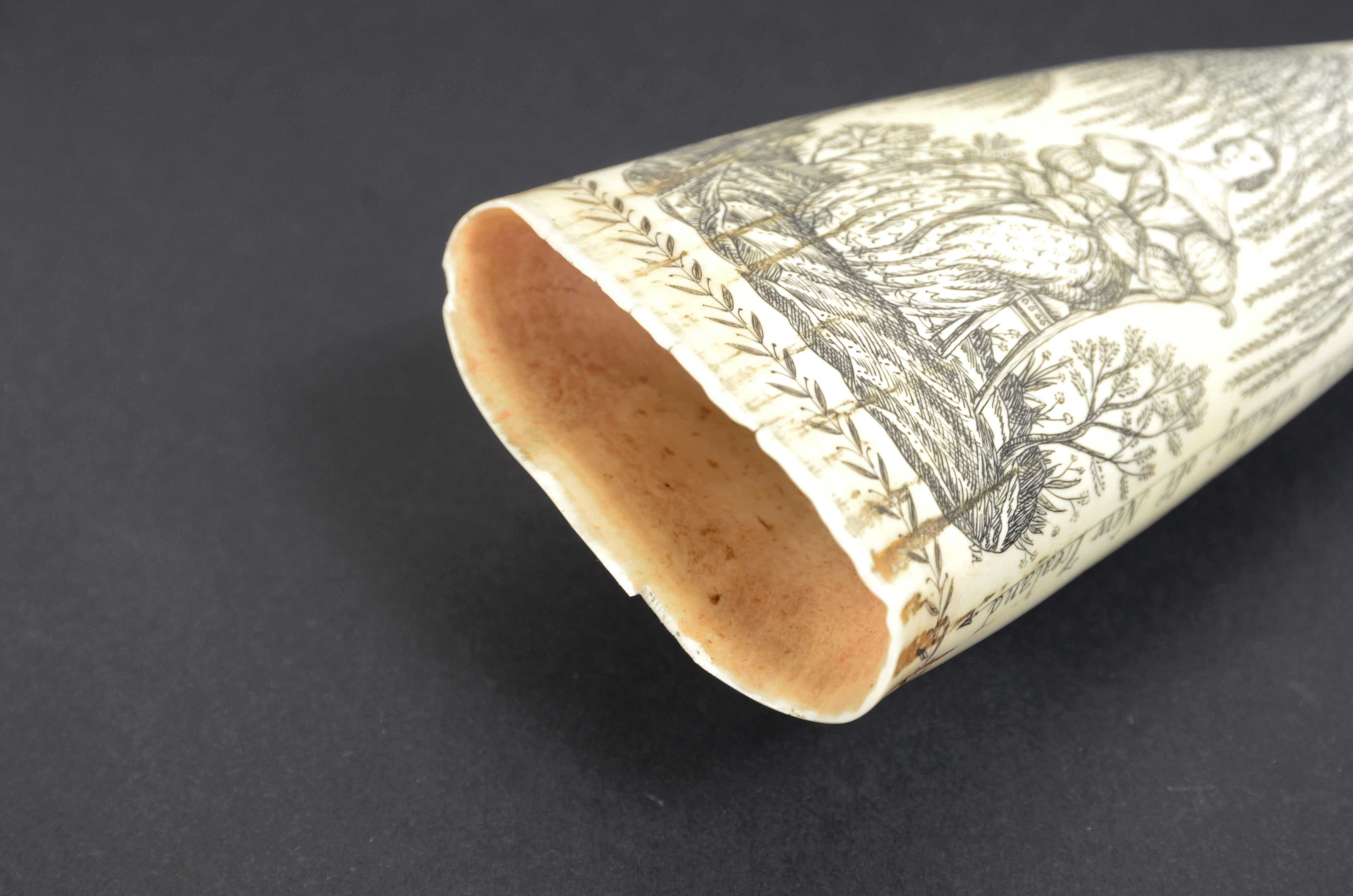 Scrimshaw of a great  engraved whale tooth exquisite workmanship mid-19th century 5