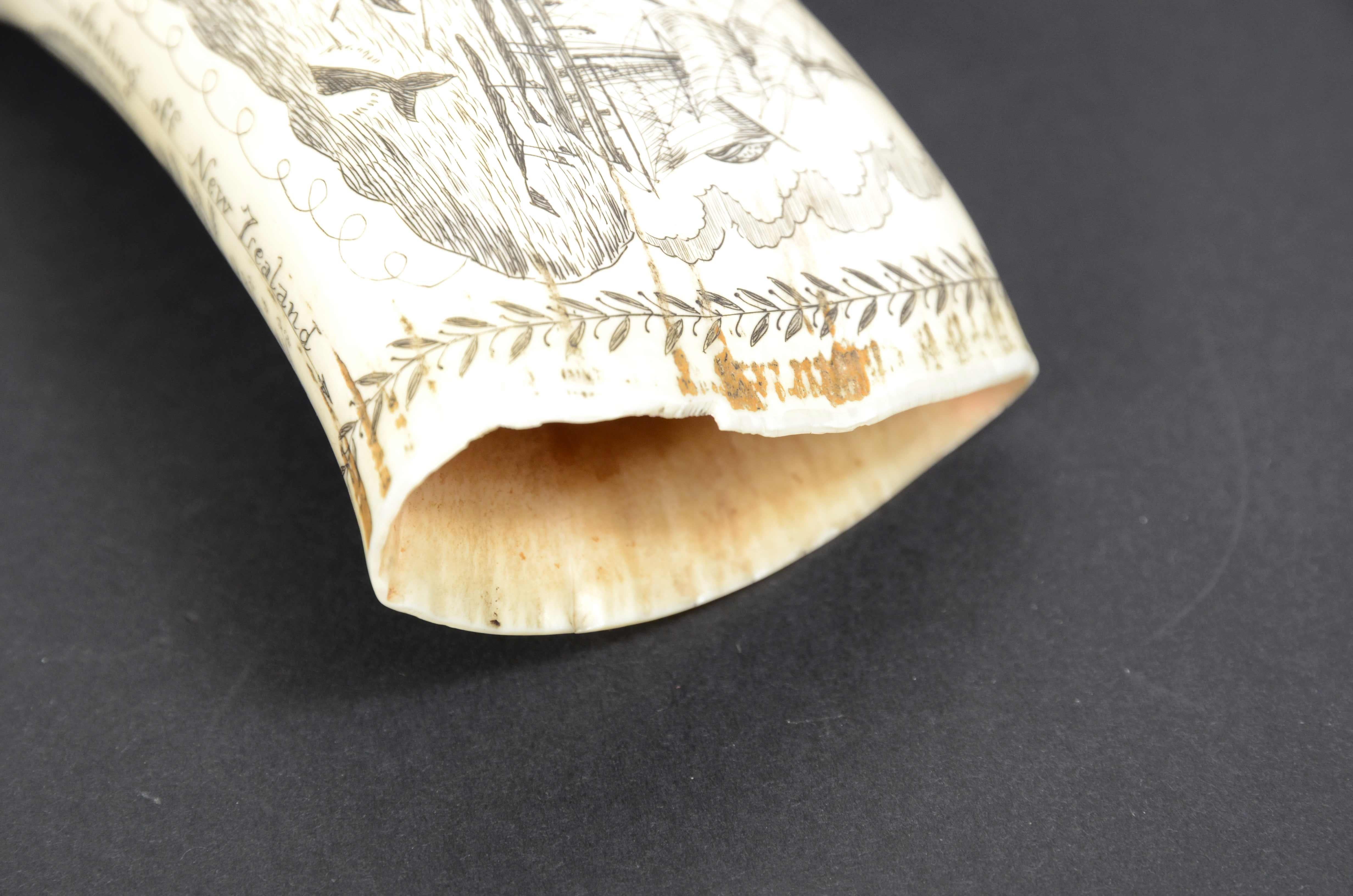 Scrimshaw of a great  engraved whale tooth exquisite workmanship mid-19th century 6