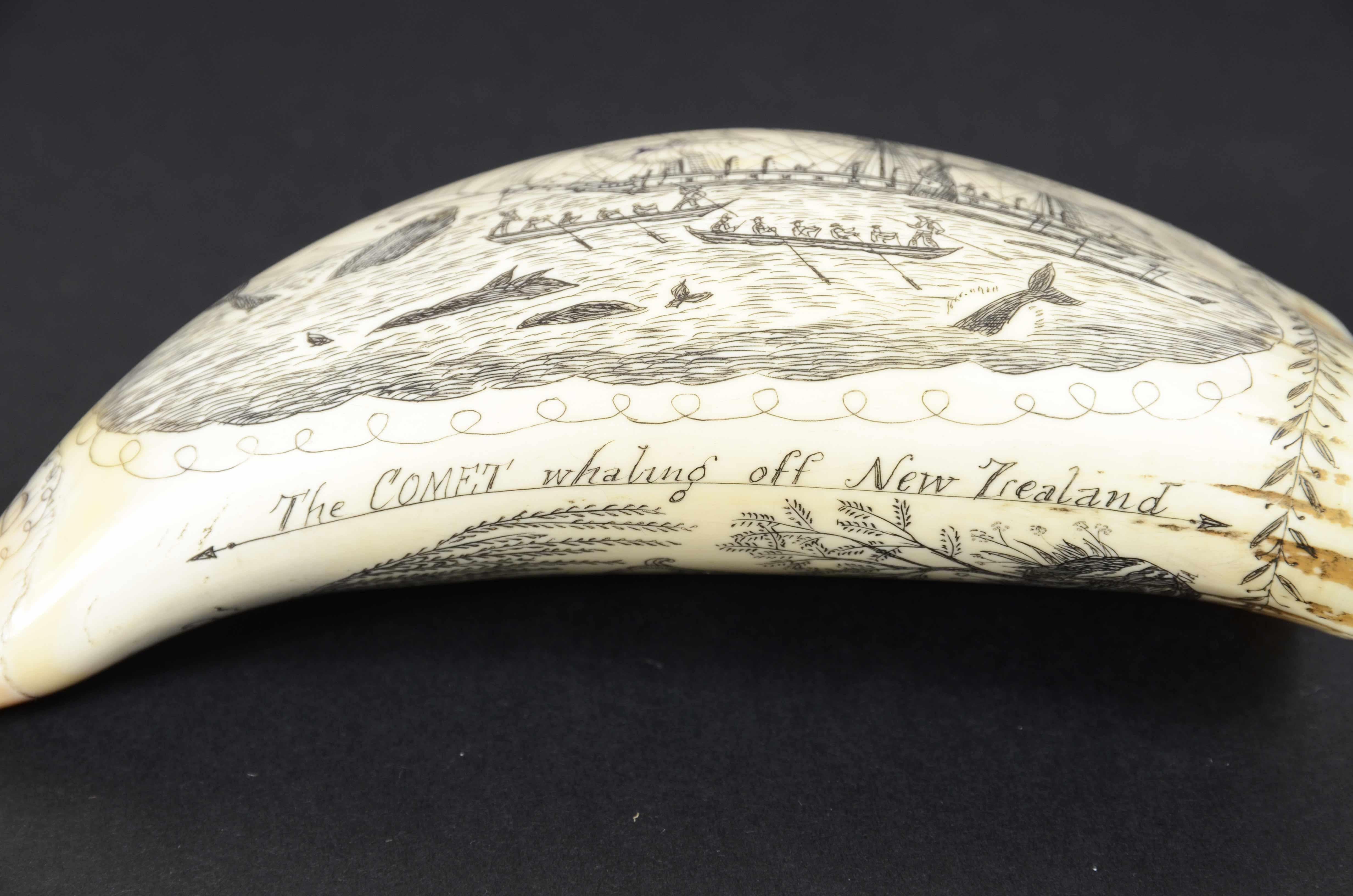 scrimshaw art for sale