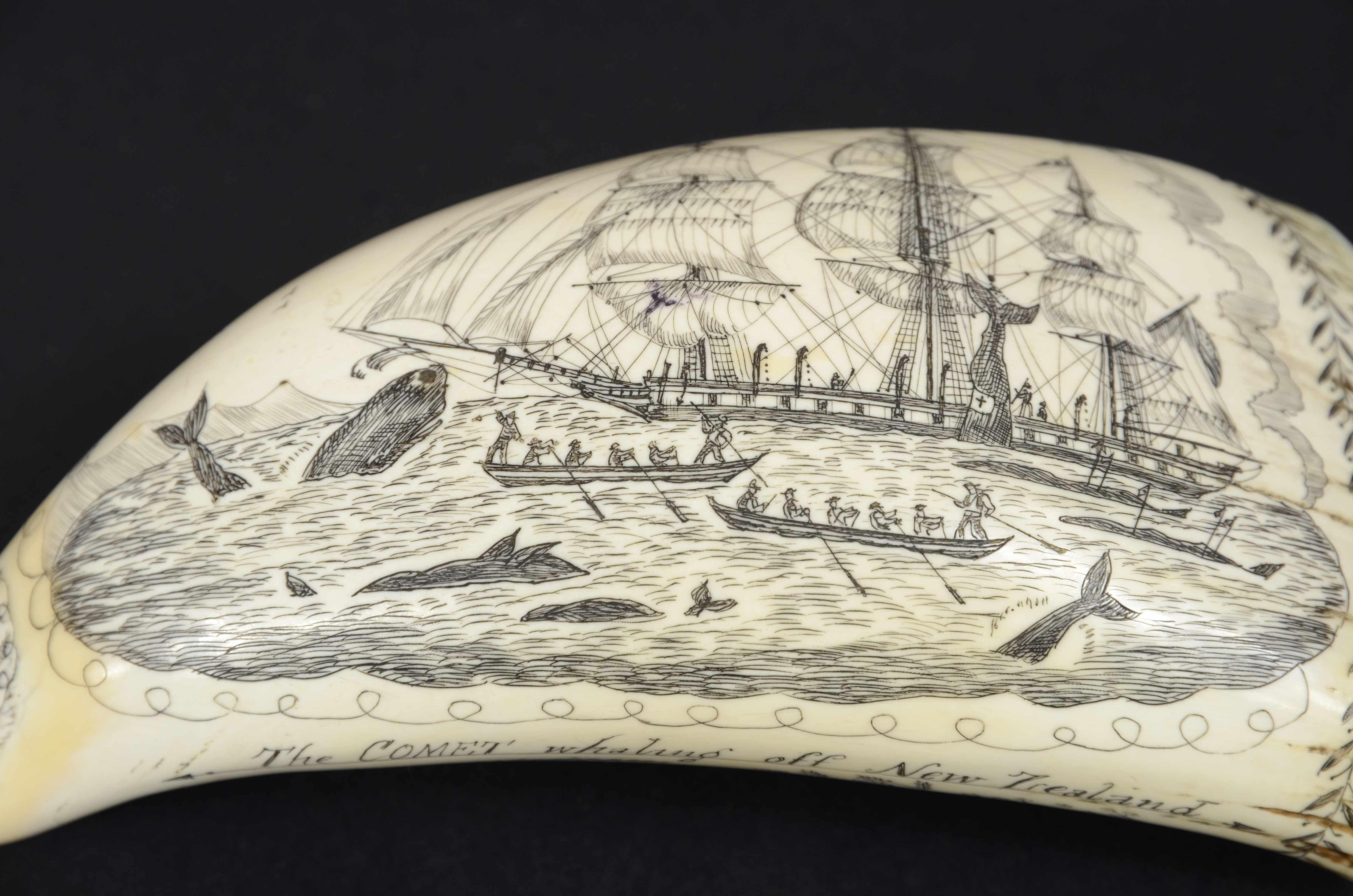 Mid-19th Century Scrimshaw of a great  engraved whale tooth exquisite workmanship mid-19th century