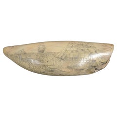 Antique Scrimshaw originale di un dente di balena inciso datato 1853 lunghezza inch 7.7