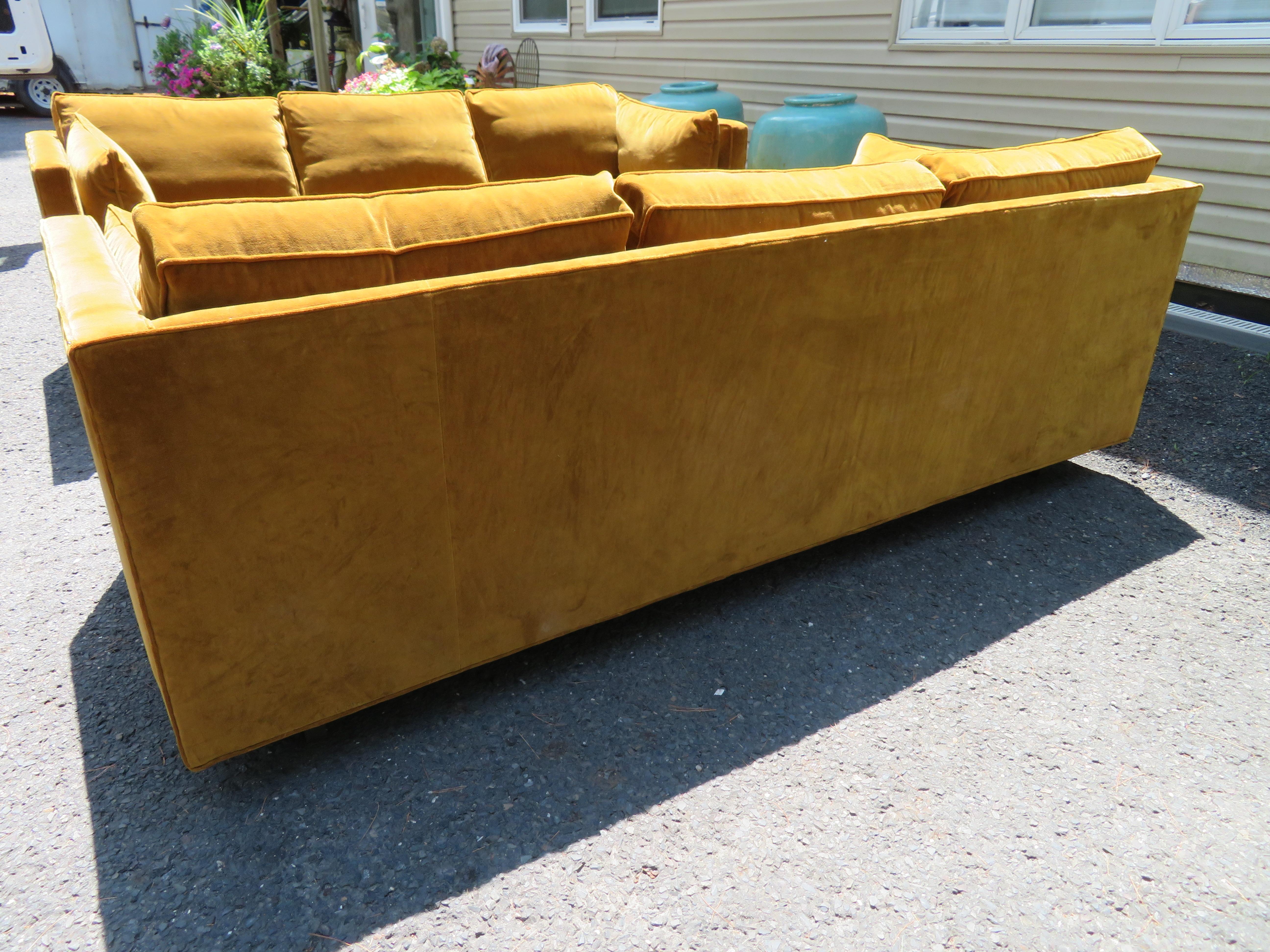 Scrumptious Paar Harvey Probber Butterscotch Even Arm Sofas Mid-Century Modern im Angebot 11