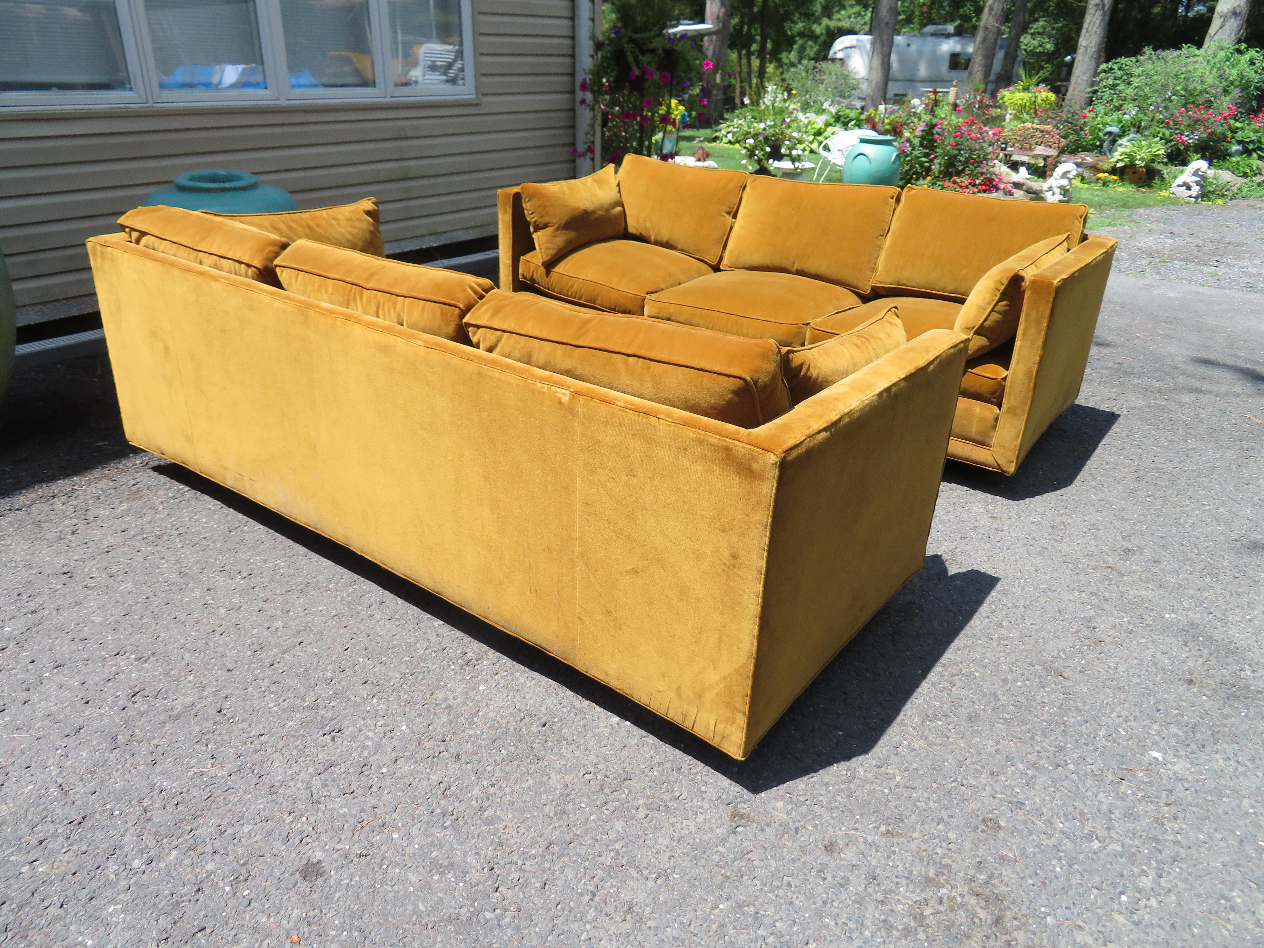 Scrumptious pair of Harvey Probber even arm sofas. These wonderful sofas were reupholstered sometime in the past and still look amazing! The fabric is a heavyweight butterscotch-coloured velvet with only light signs of age. The plump cushions are