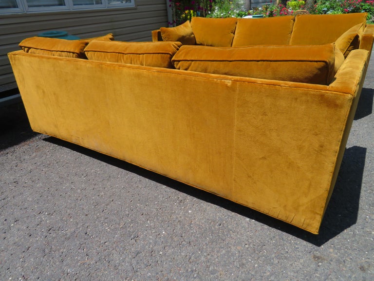 Mid-20th Century Scrumptious Pair Harvey Probber Butterscotch Even Arm Sofas Mid-Century Modern For Sale